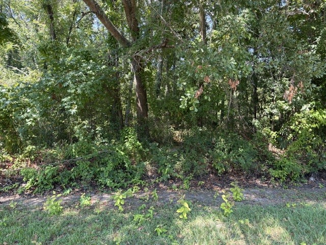 Tbd Beaver Den Drive Property Photo 3