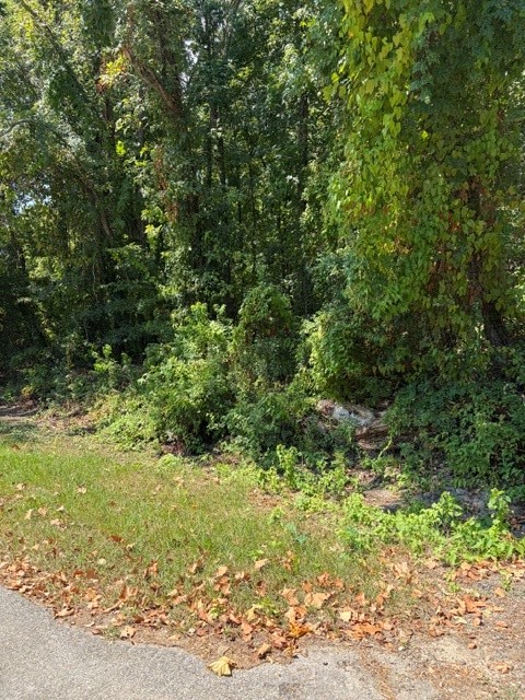 Tbd Beaver Den Drive Property Photo 6