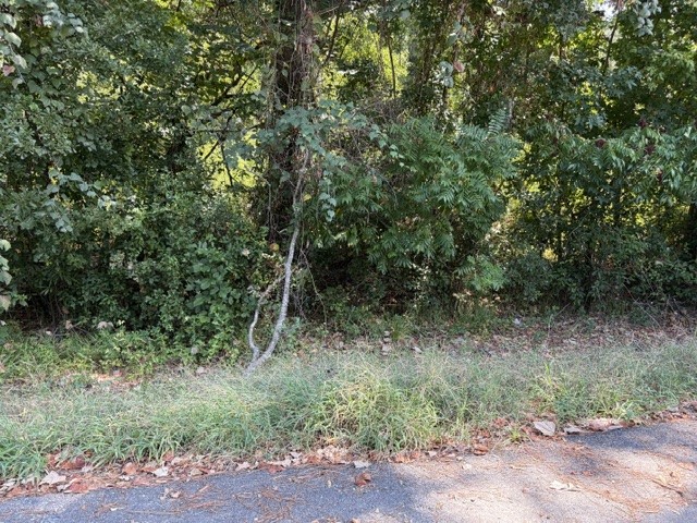 Tbd Beaver Den Drive Property Photo 7