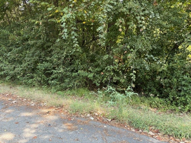 Tbd Beaver Den Drive Property Photo 8