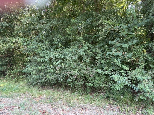 Tbd Beaver Den Drive Property Photo 9