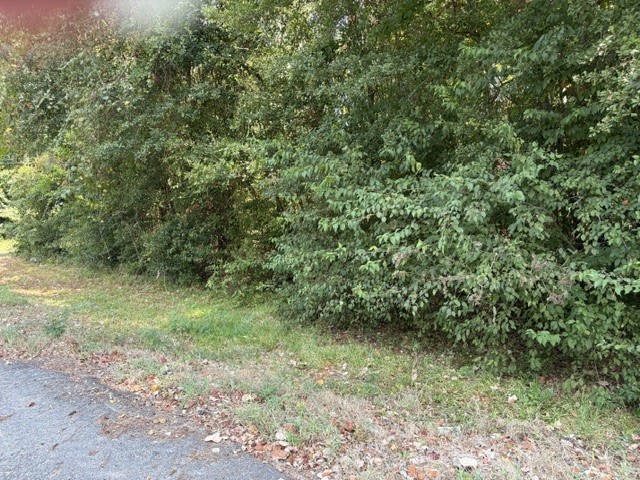 Tbd Beaver Den Drive Property Photo 10