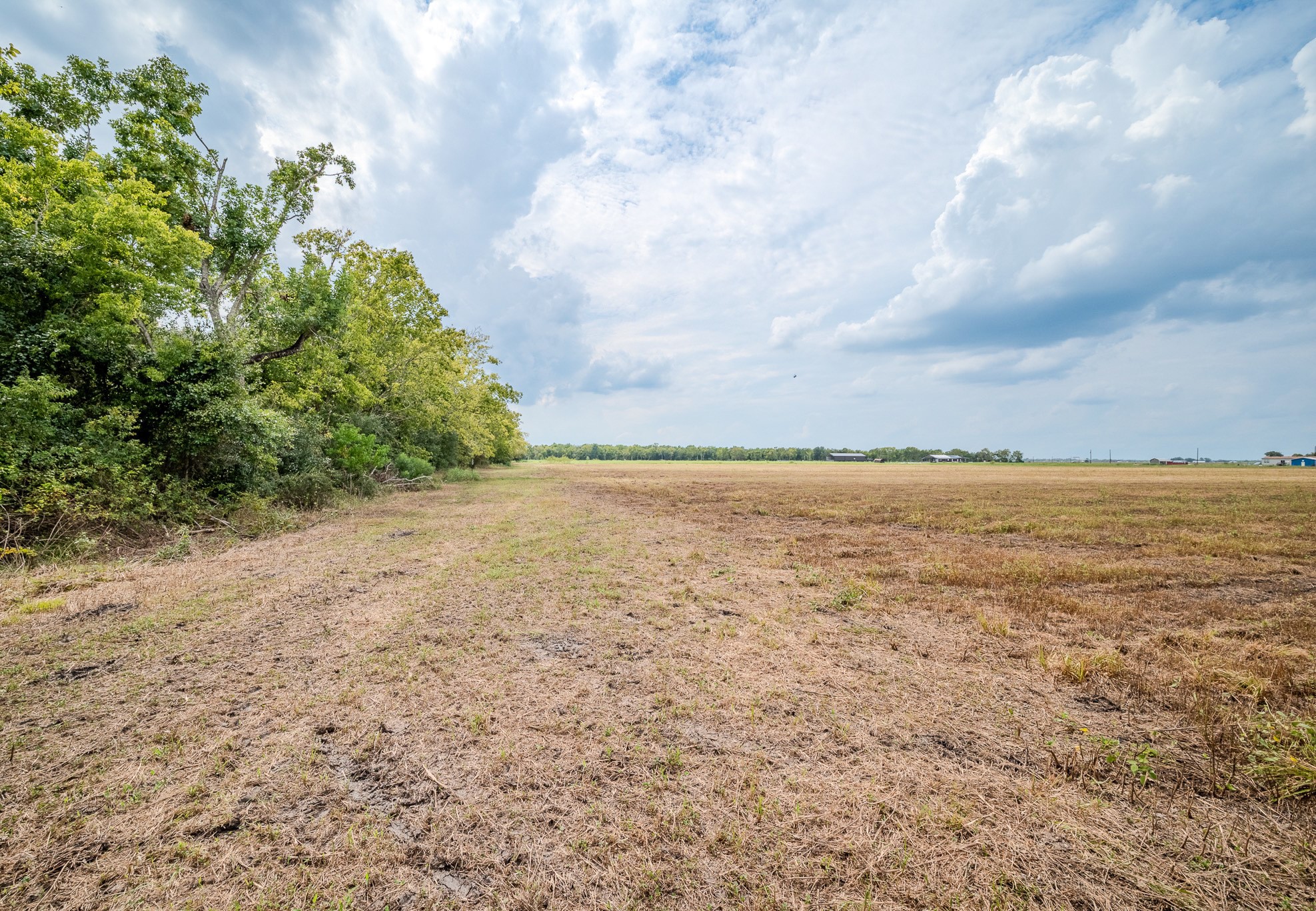 Tract 1 Charlie Meyer Road Property Photo 19