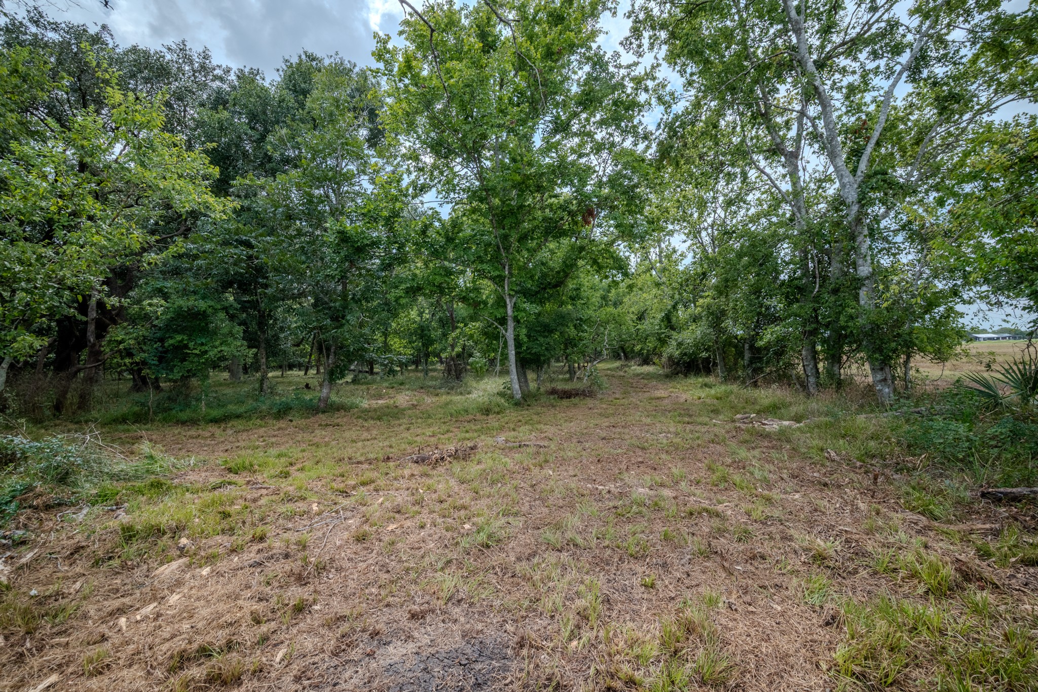 Tract 1 Charlie Meyer Road Property Photo 20
