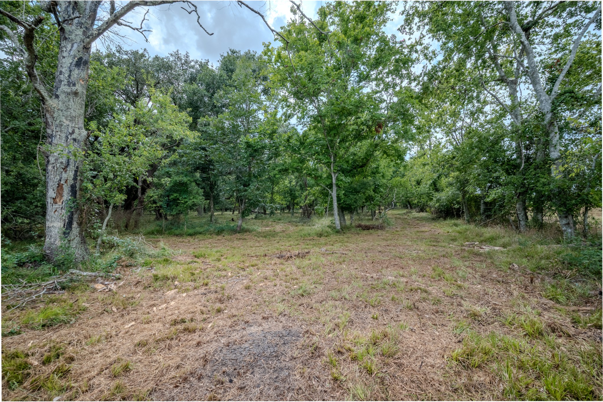 Tract 1 Charlie Meyer Road Property Photo 21