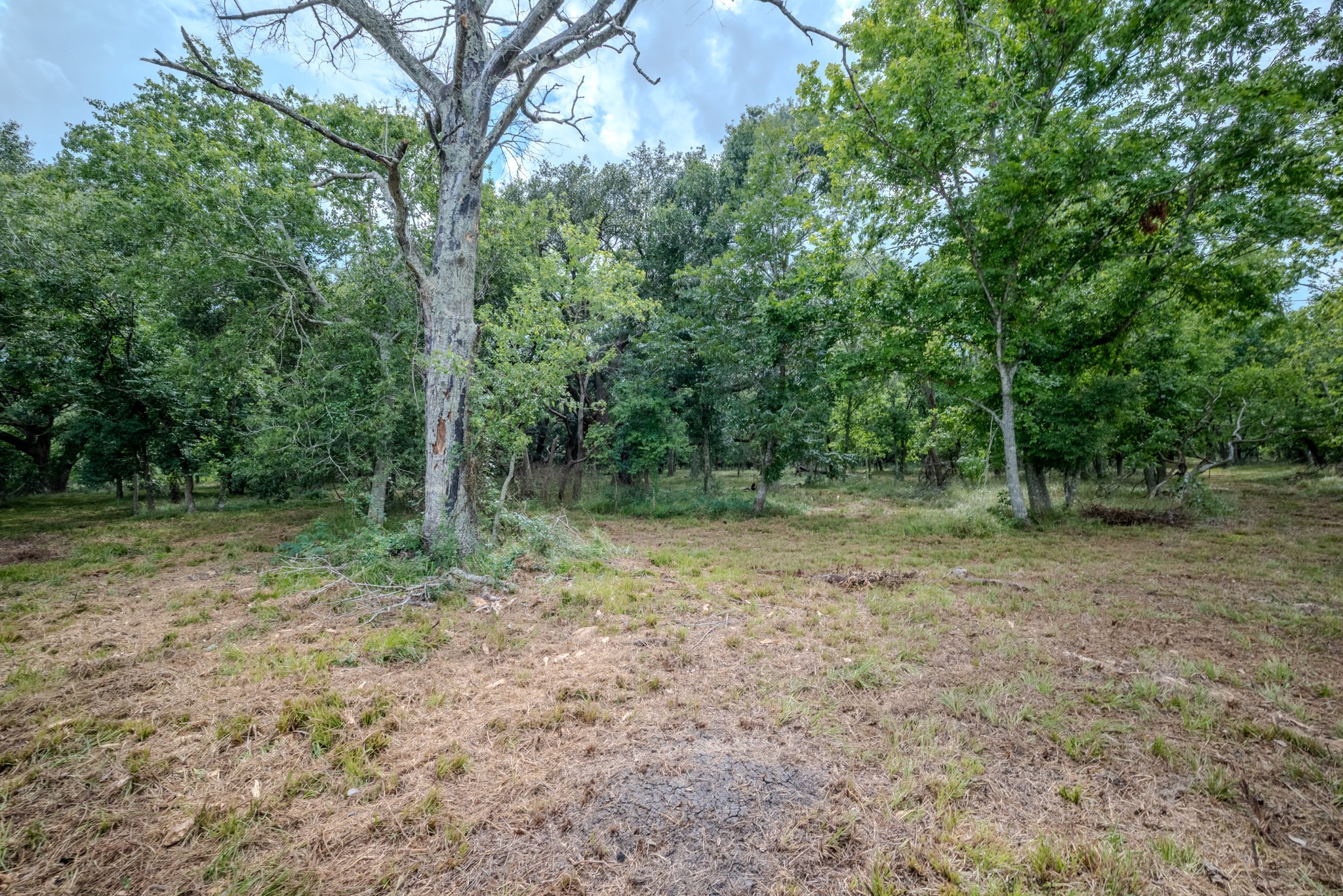 Tract 1 Charlie Meyer Road Property Photo 22