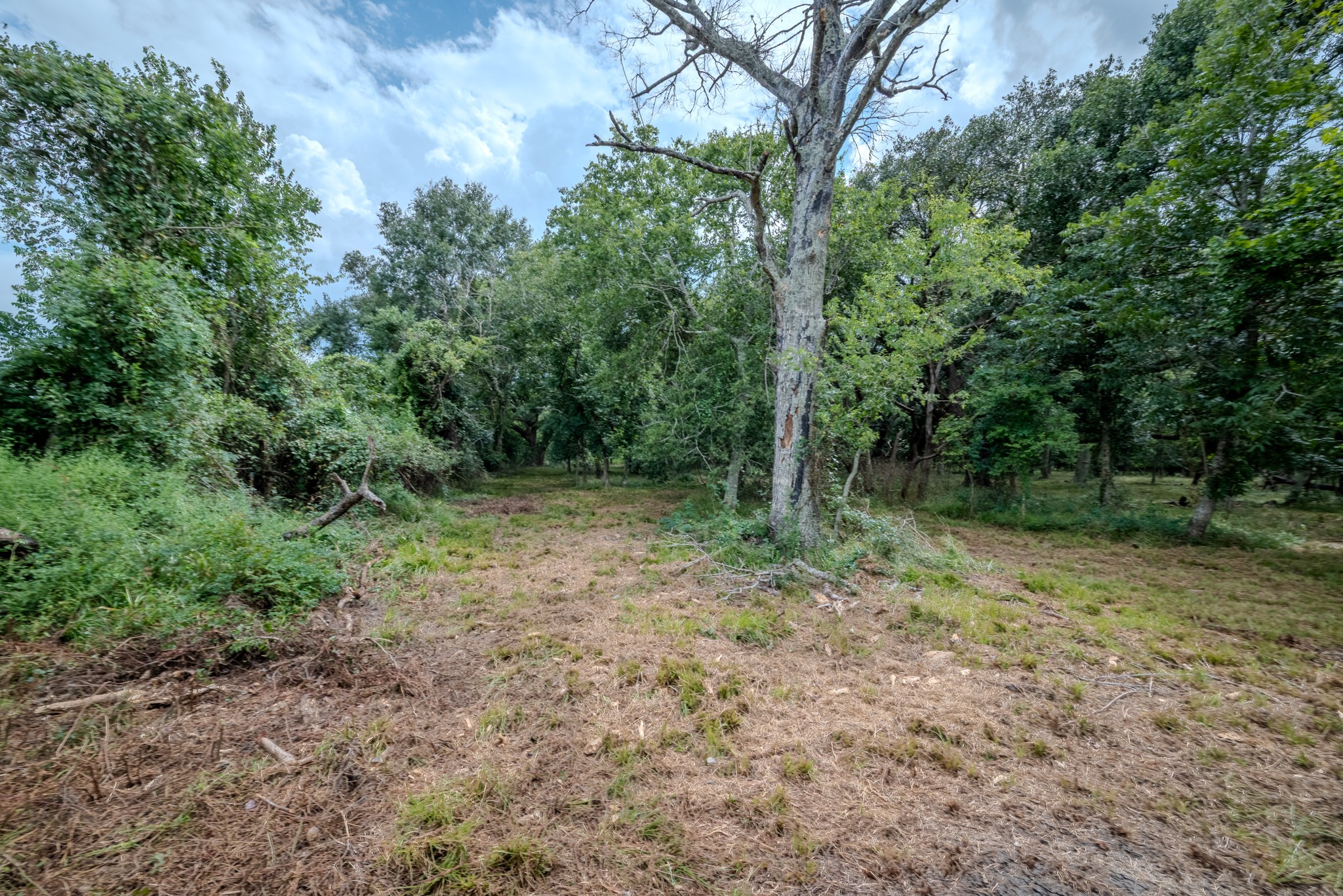 Tract 1 Charlie Meyer Road Property Photo 23