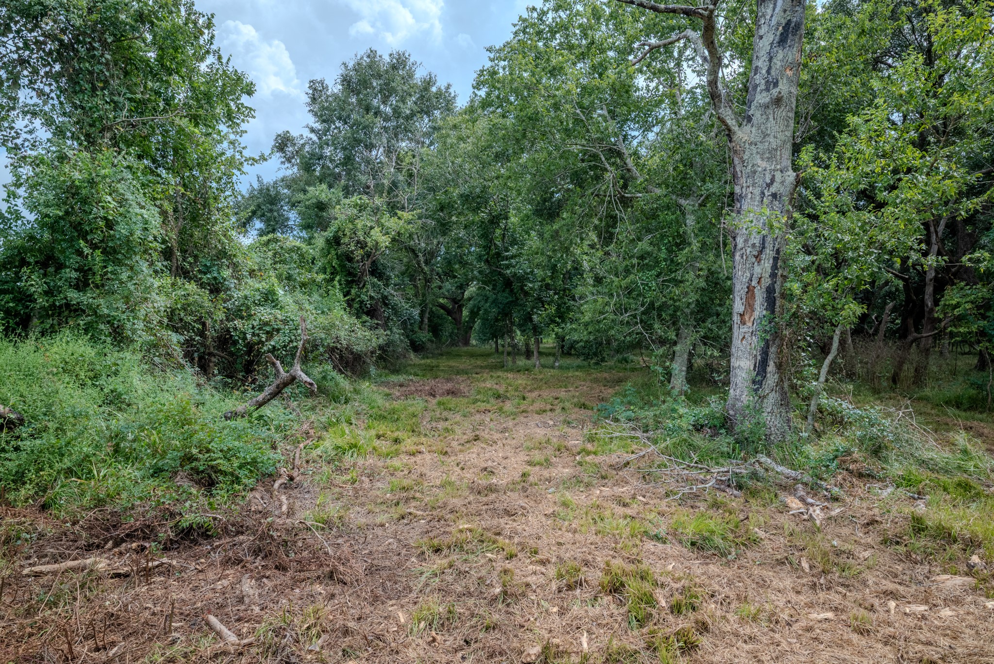 Tract 1 Charlie Meyer Road Property Photo 24