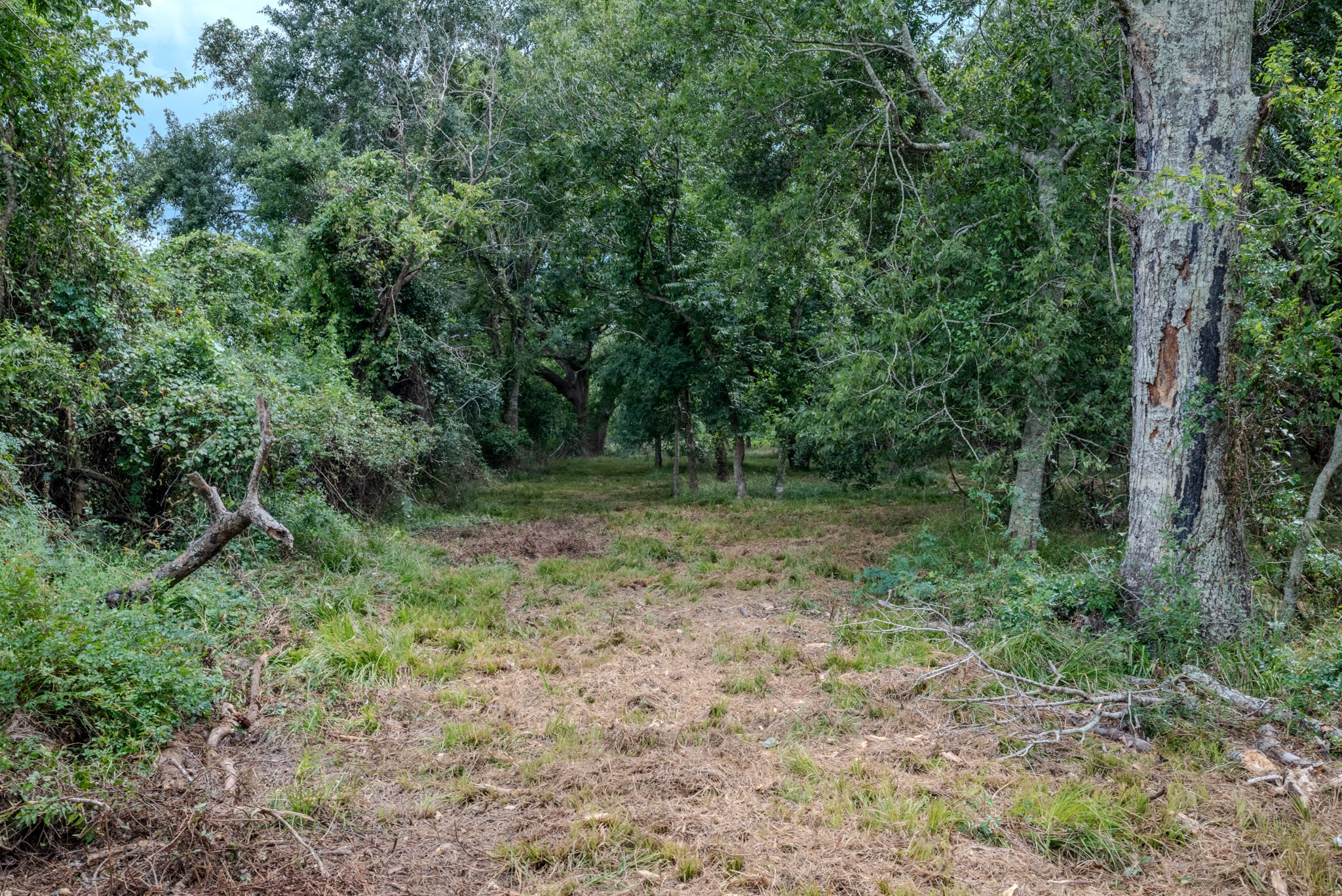 Tract 1 Charlie Meyer Road Property Photo 25