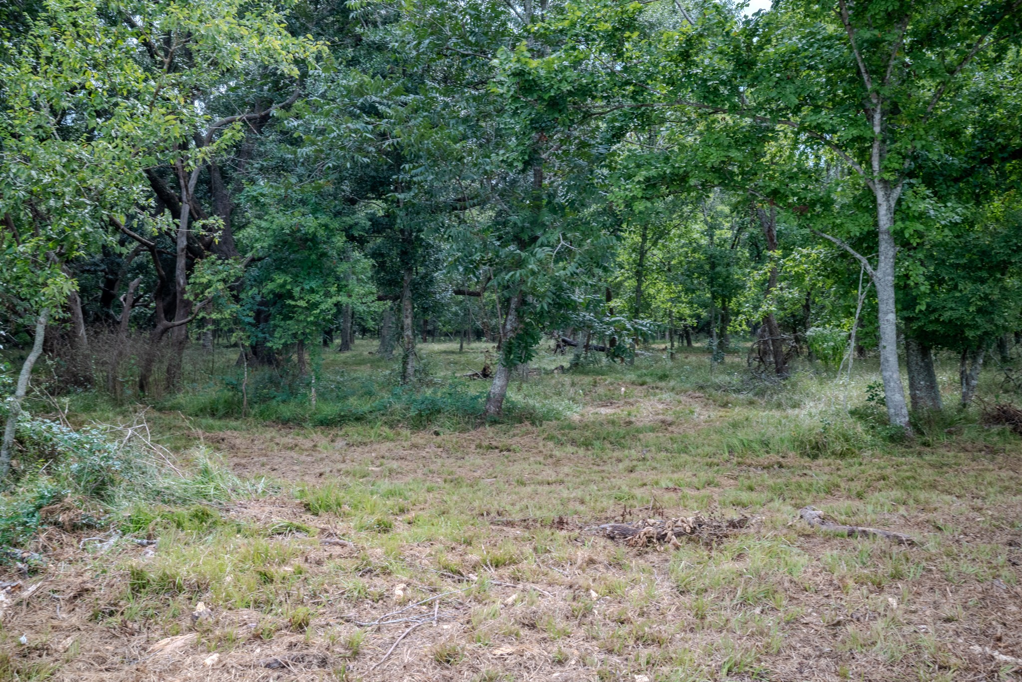 Tract 1 Charlie Meyer Road Property Photo 26