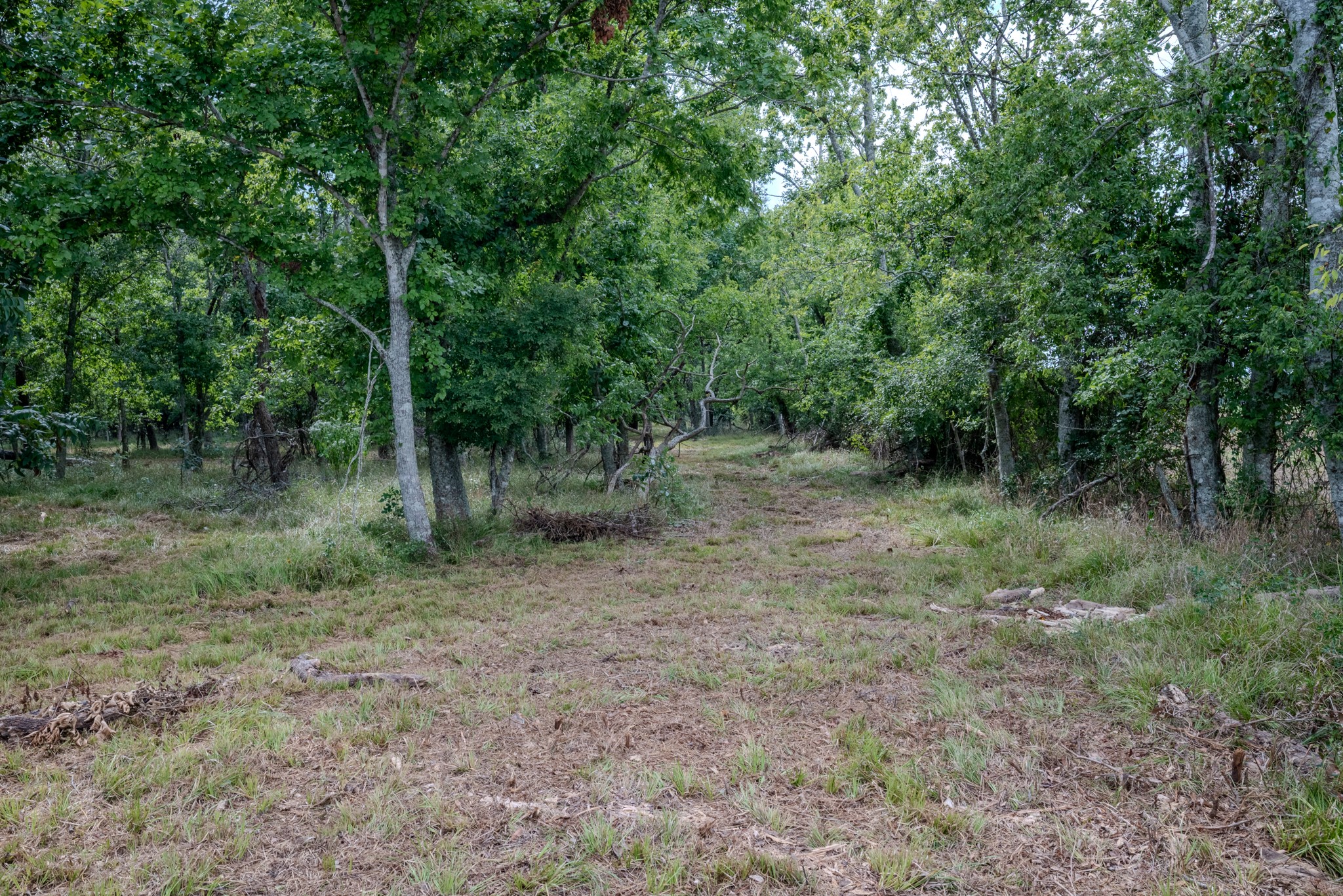 Tract 1 Charlie Meyer Road Property Photo 27