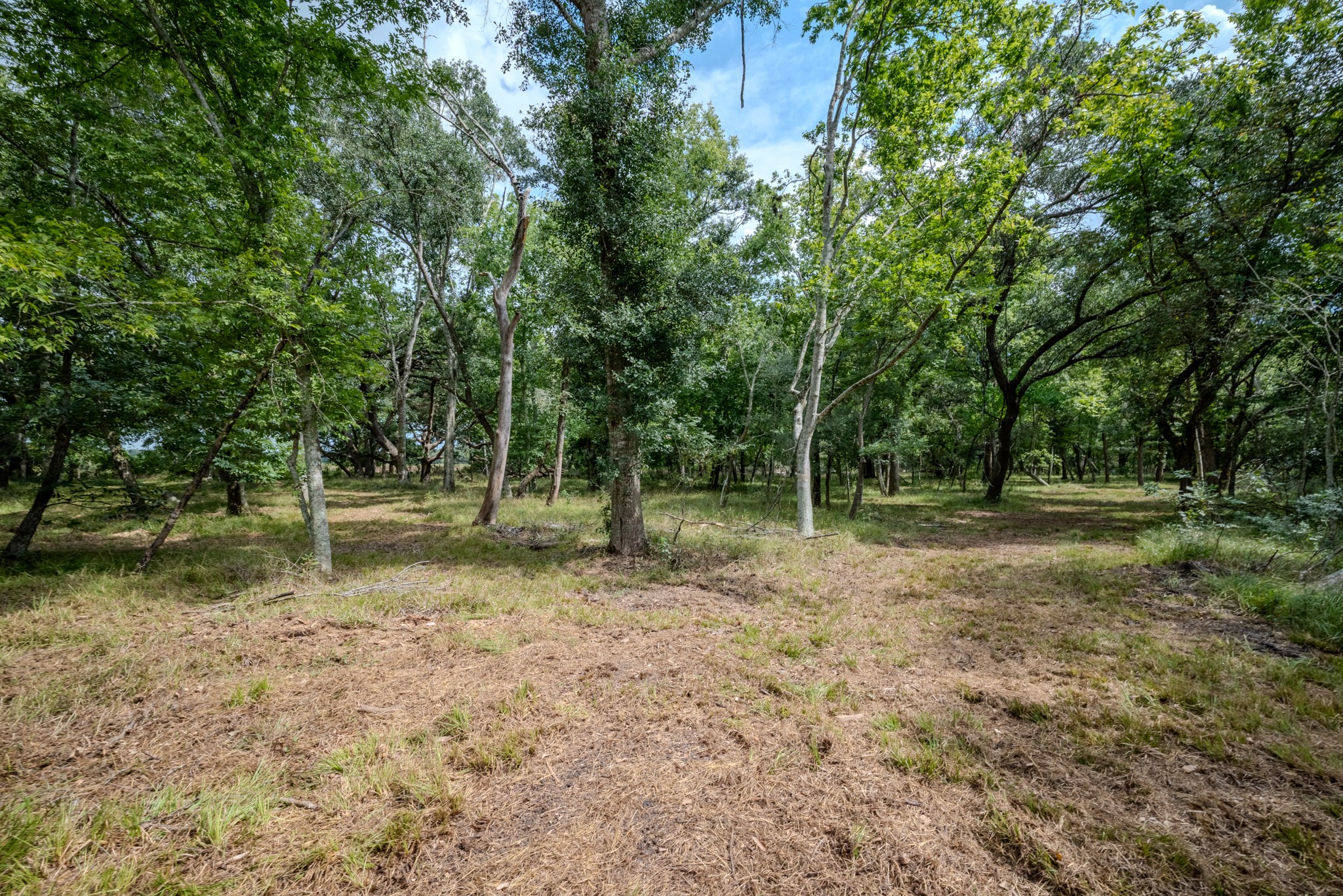 Tract 1 Charlie Meyer Road Property Photo 29