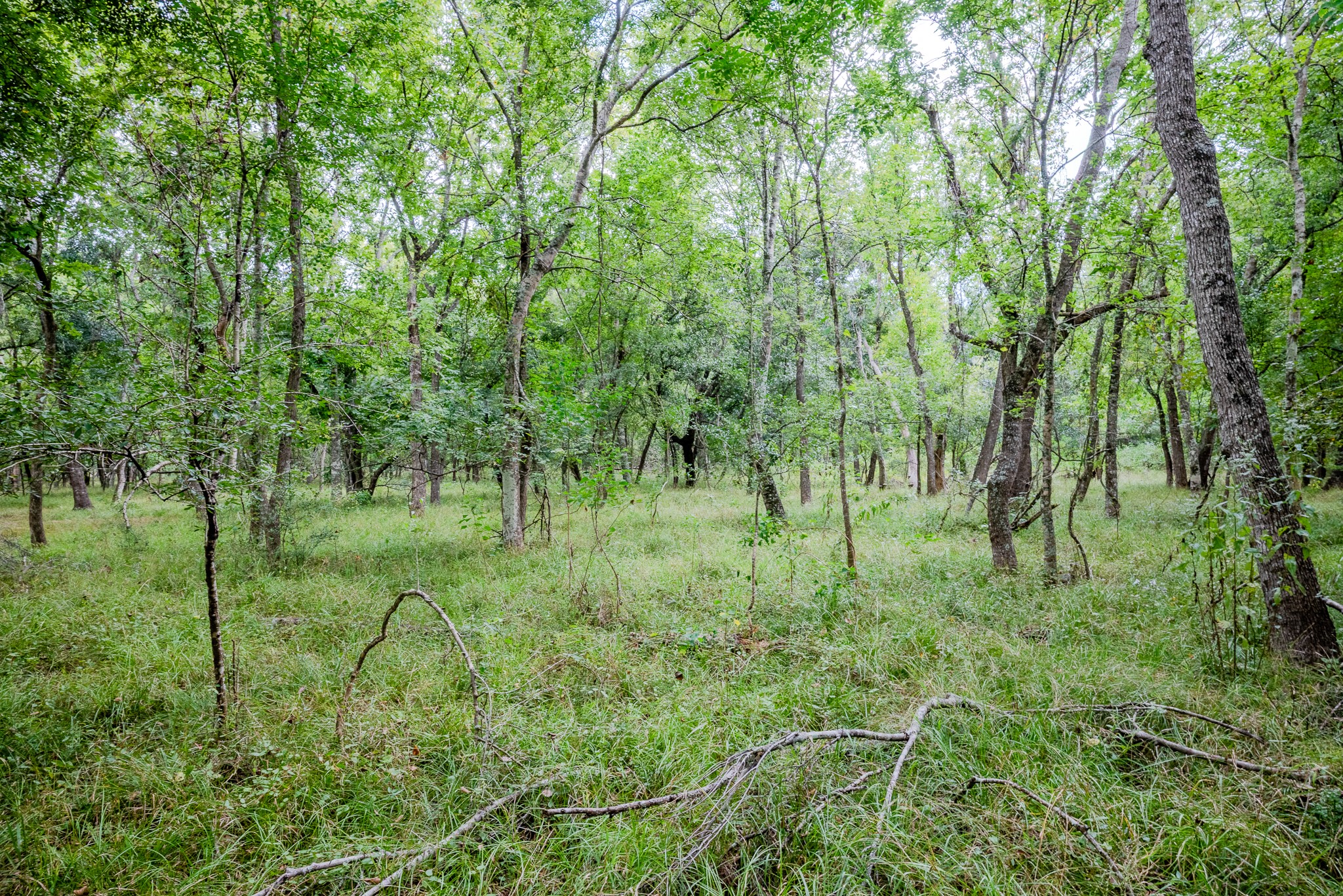 Tract 1 Charlie Meyer Road Property Photo 32