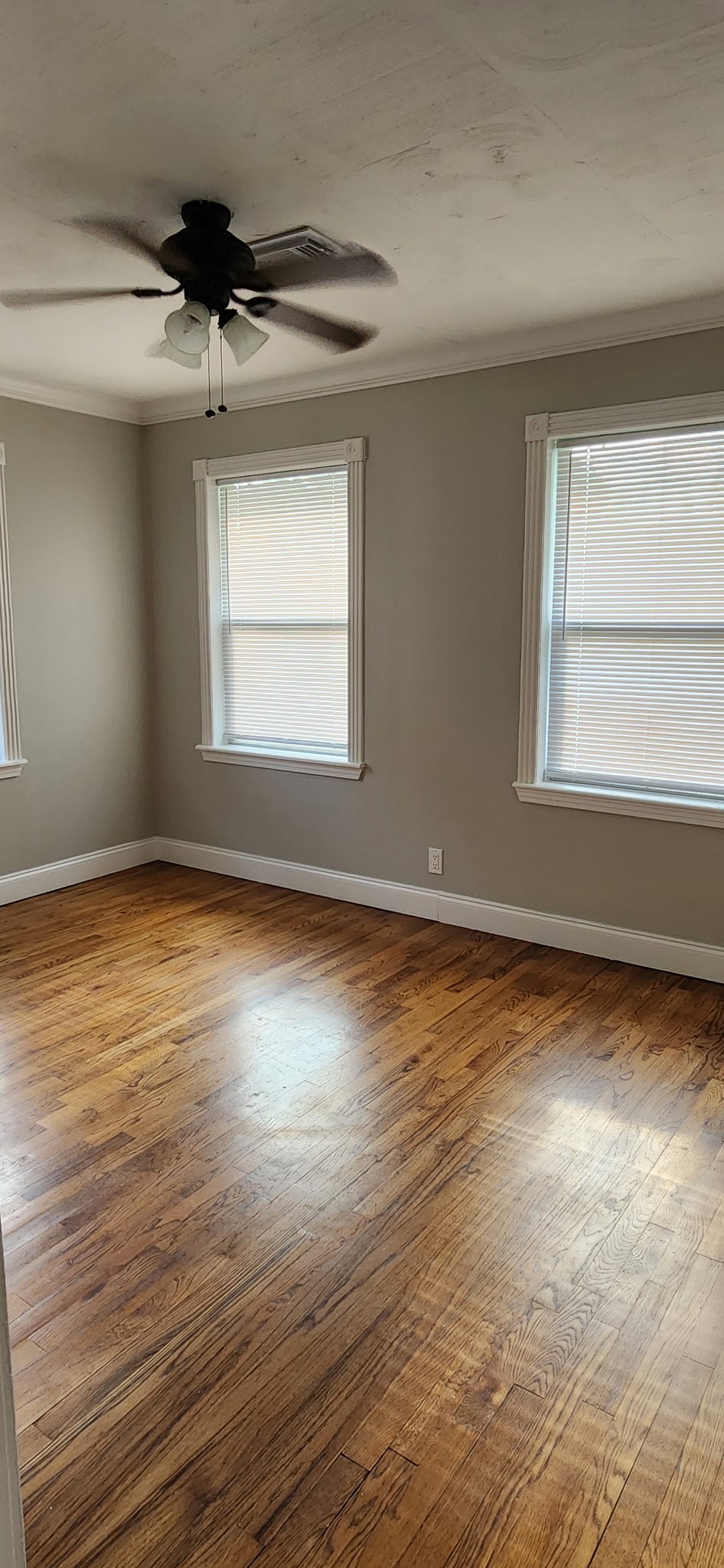 1807 Angeline Street Property Photo 8