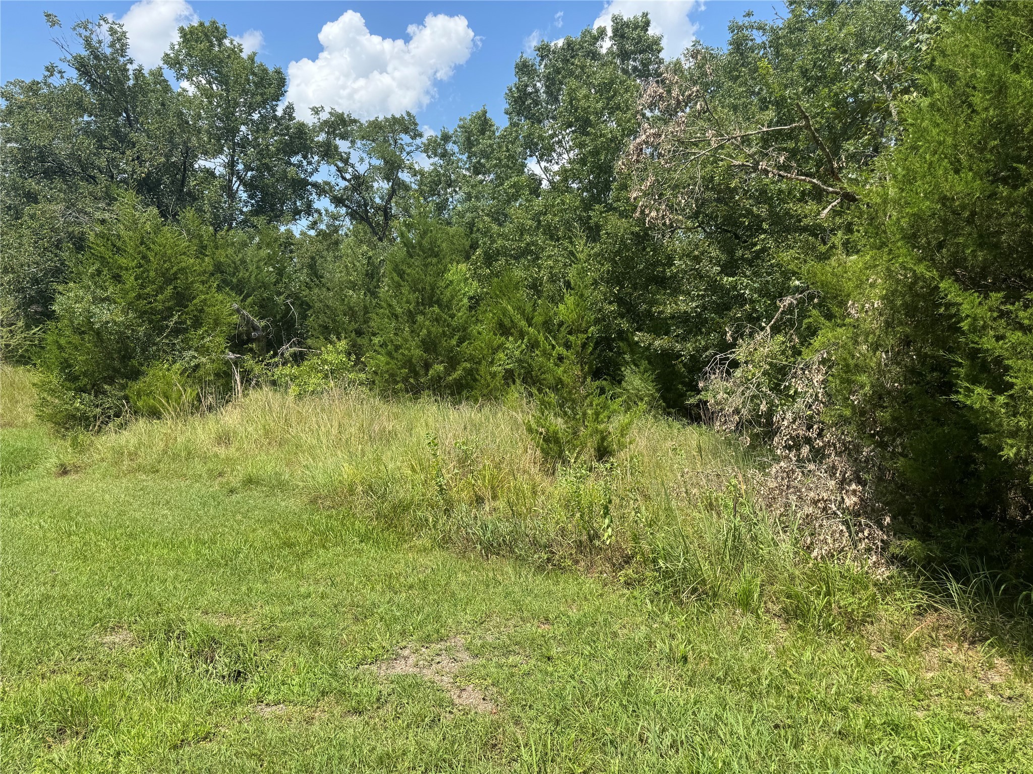 731 N Forest Cove Loop Property Photo 1
