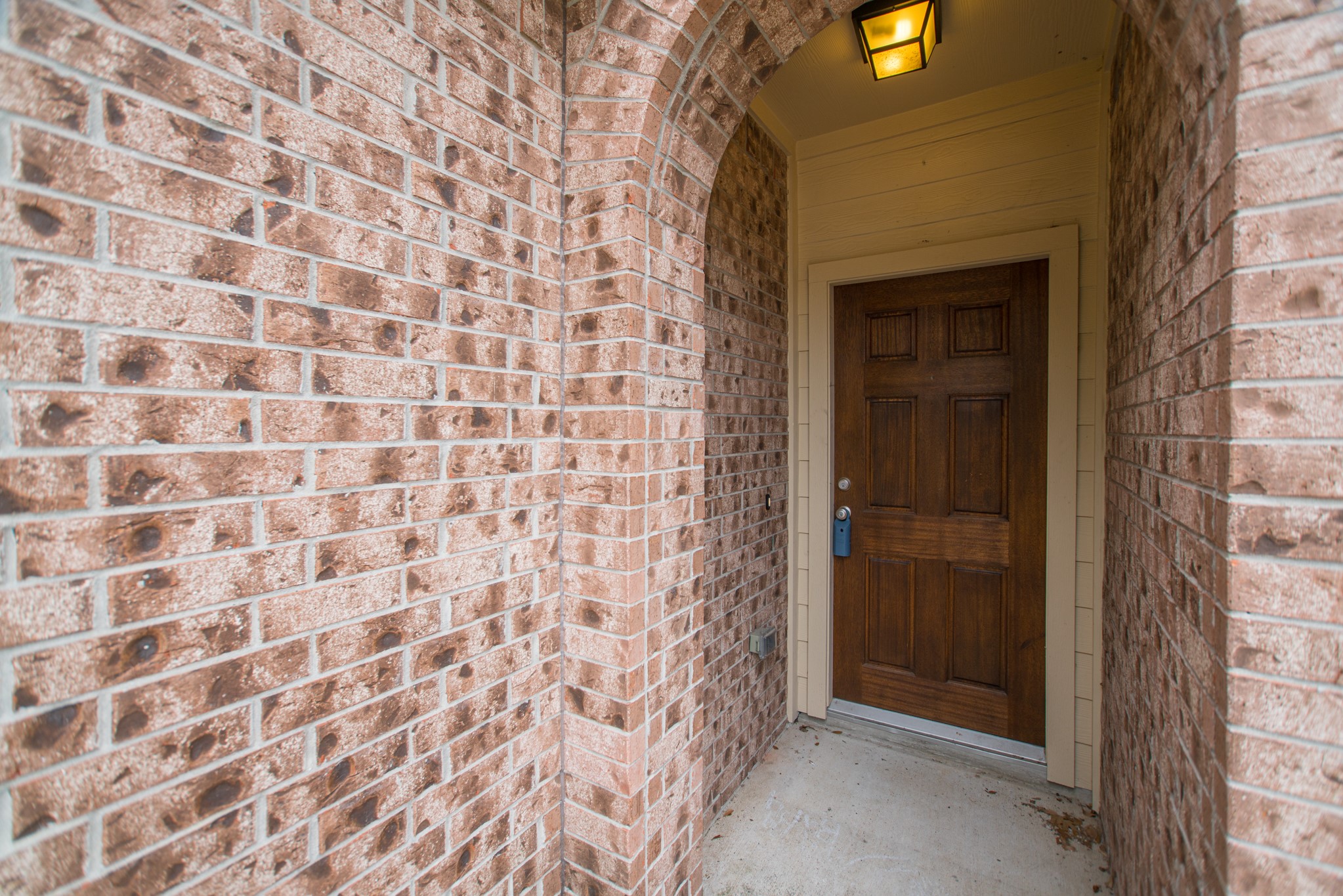25531 Forest Springs Lake Property Photo 6