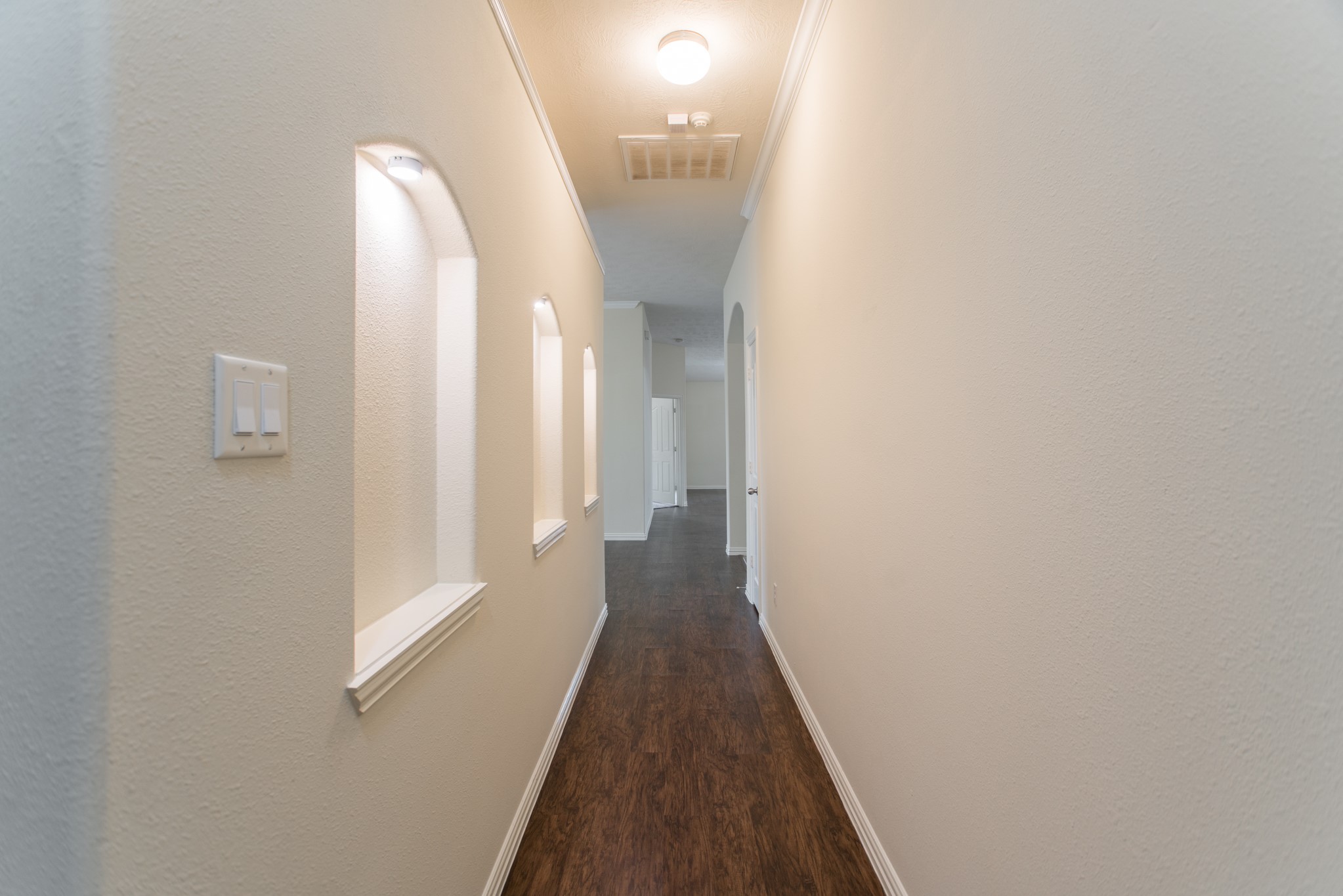 25531 Forest Springs Lake Property Photo 7