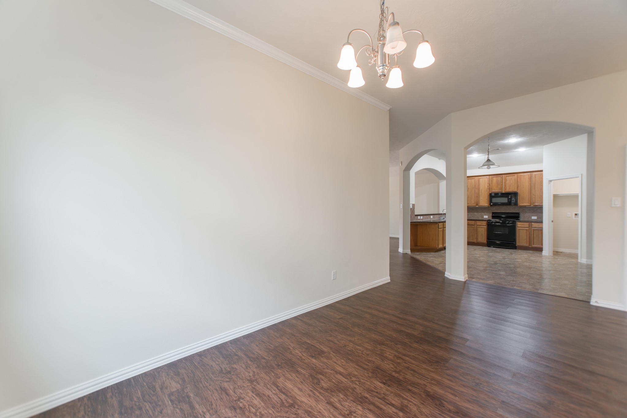 25531 Forest Springs Lake Property Photo 12