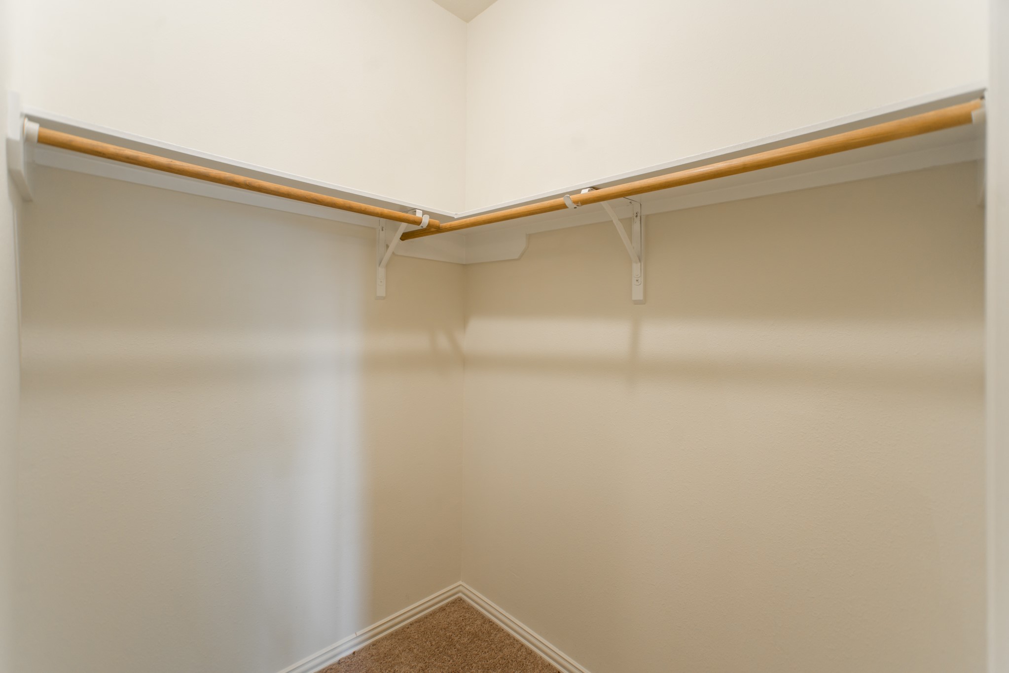 25531 Forest Springs Lake Property Photo 37