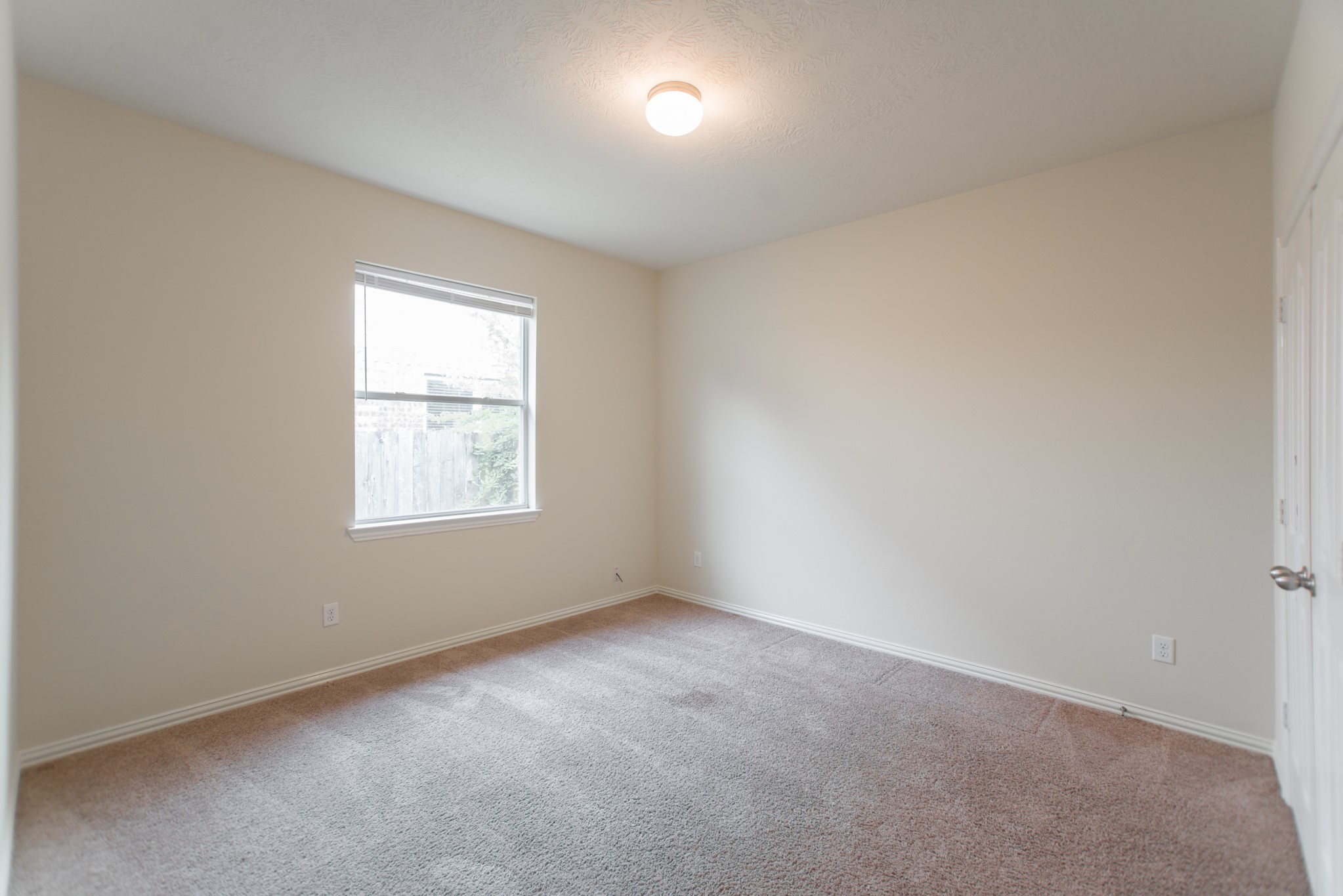25531 Forest Springs Lake Property Photo 39