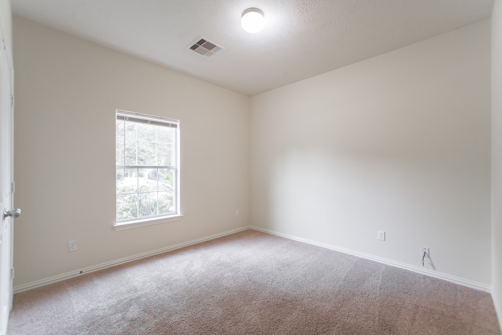 25531 Forest Springs Lake Property Photo 42