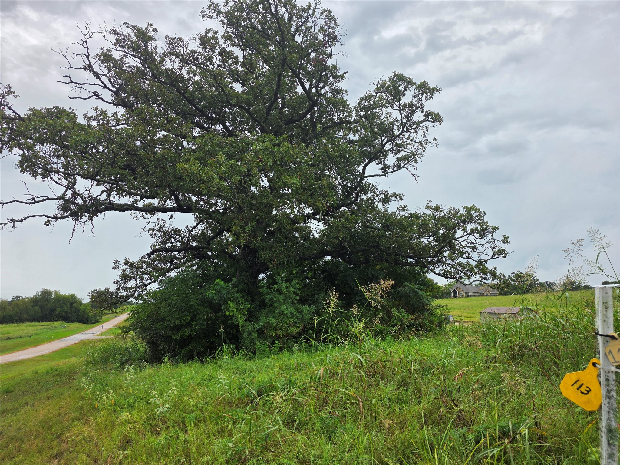 Lot 113 Shore Crest Way Property Photo 4