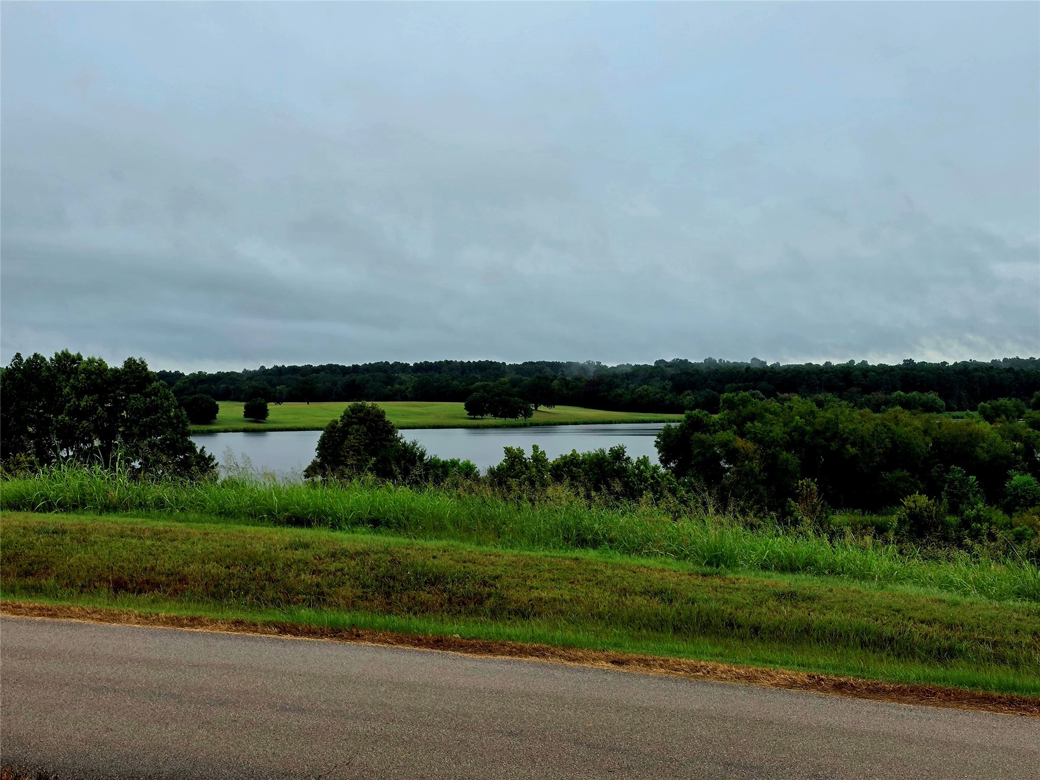 Lot 113 Shore Crest Way Property Photo 12