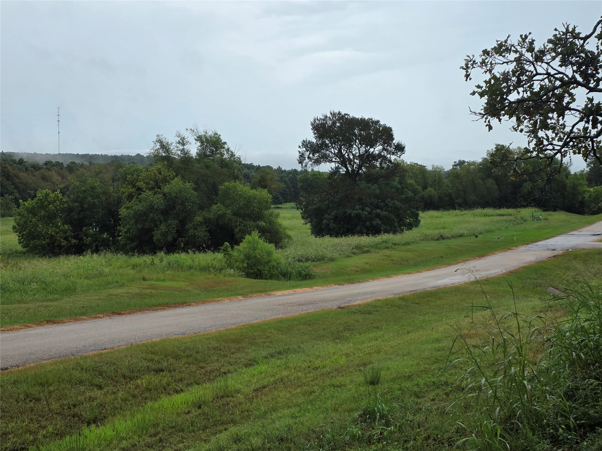 Lot 113 Shore Crest Way Property Photo 20