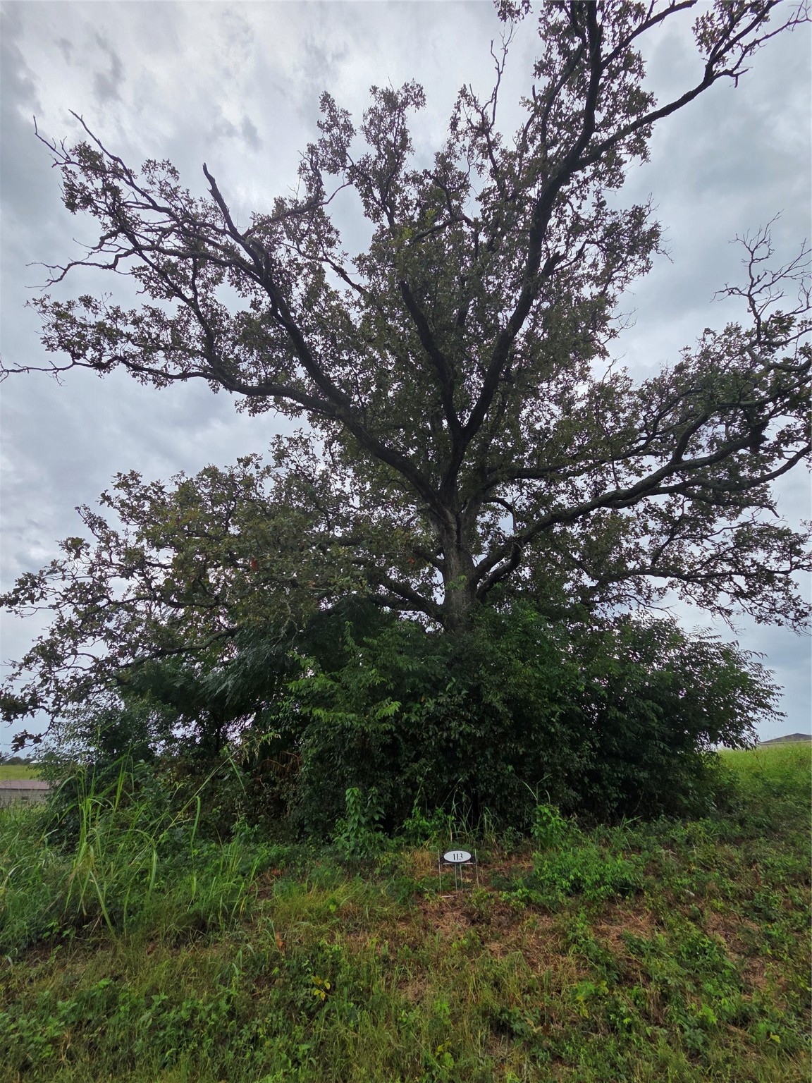 Lot 113 Shore Crest Way Property Photo 22