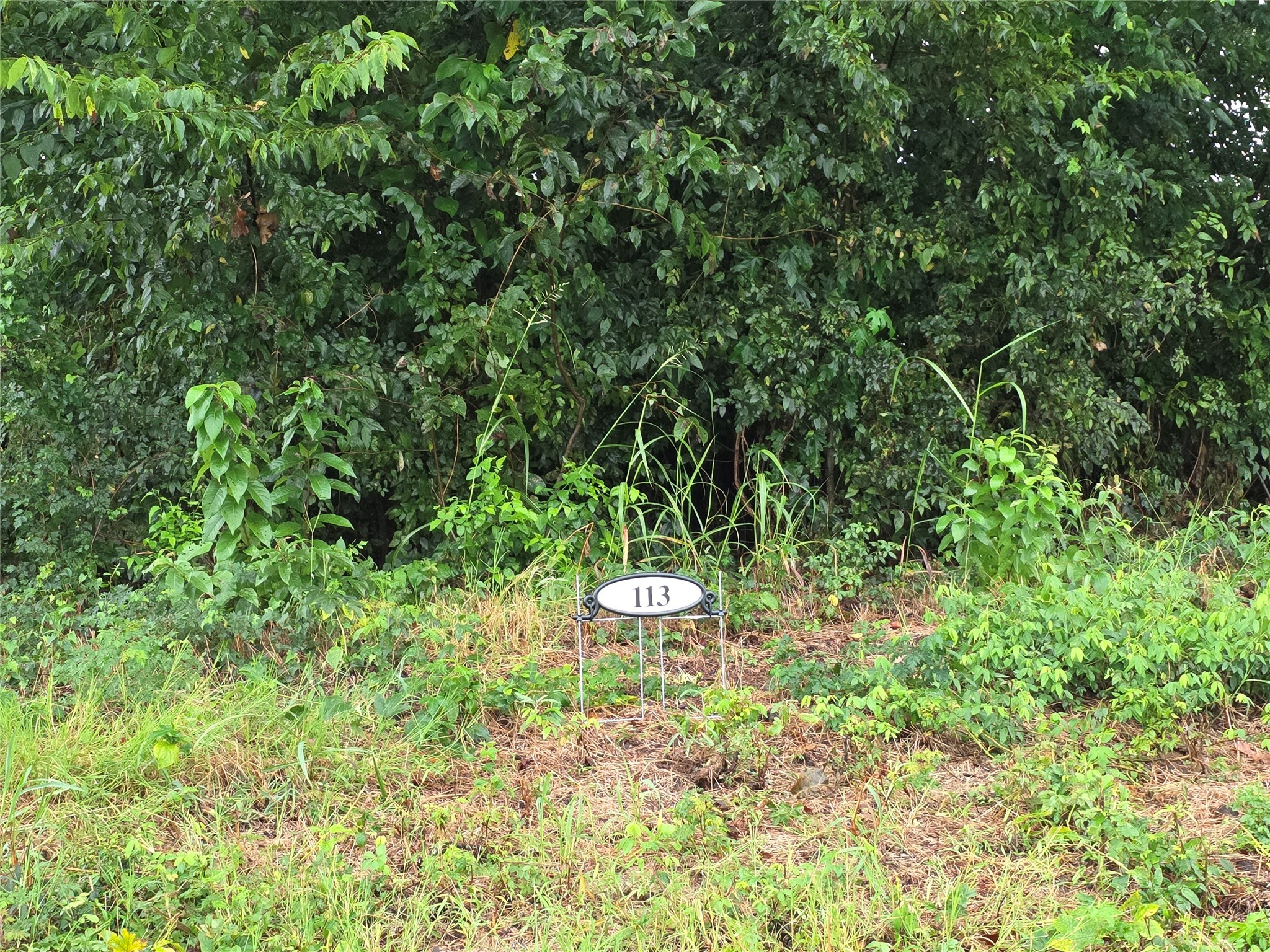 Lot 113 Shore Crest Way Property Photo 28