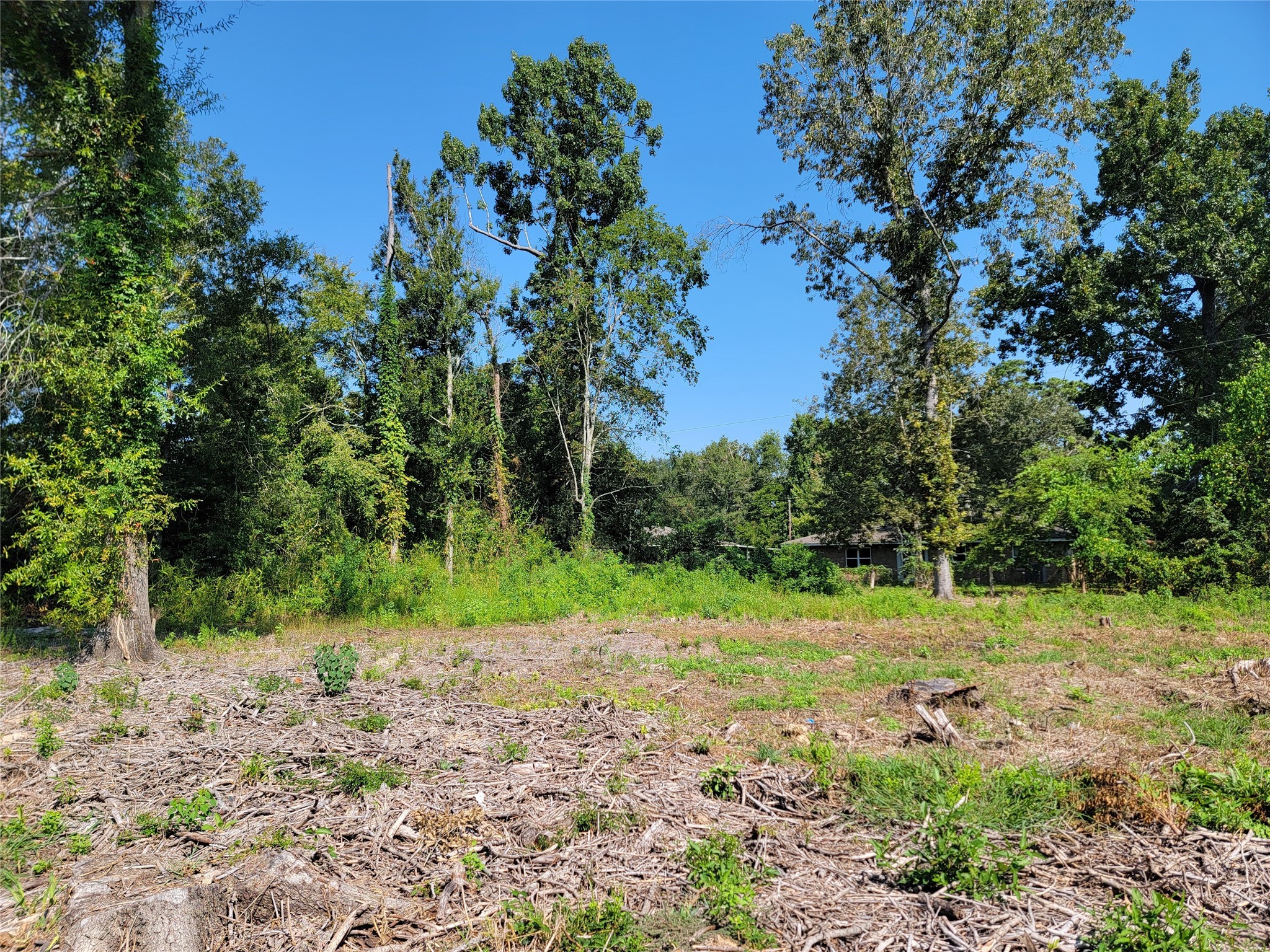 0 Springwater Drive Property Photo 7