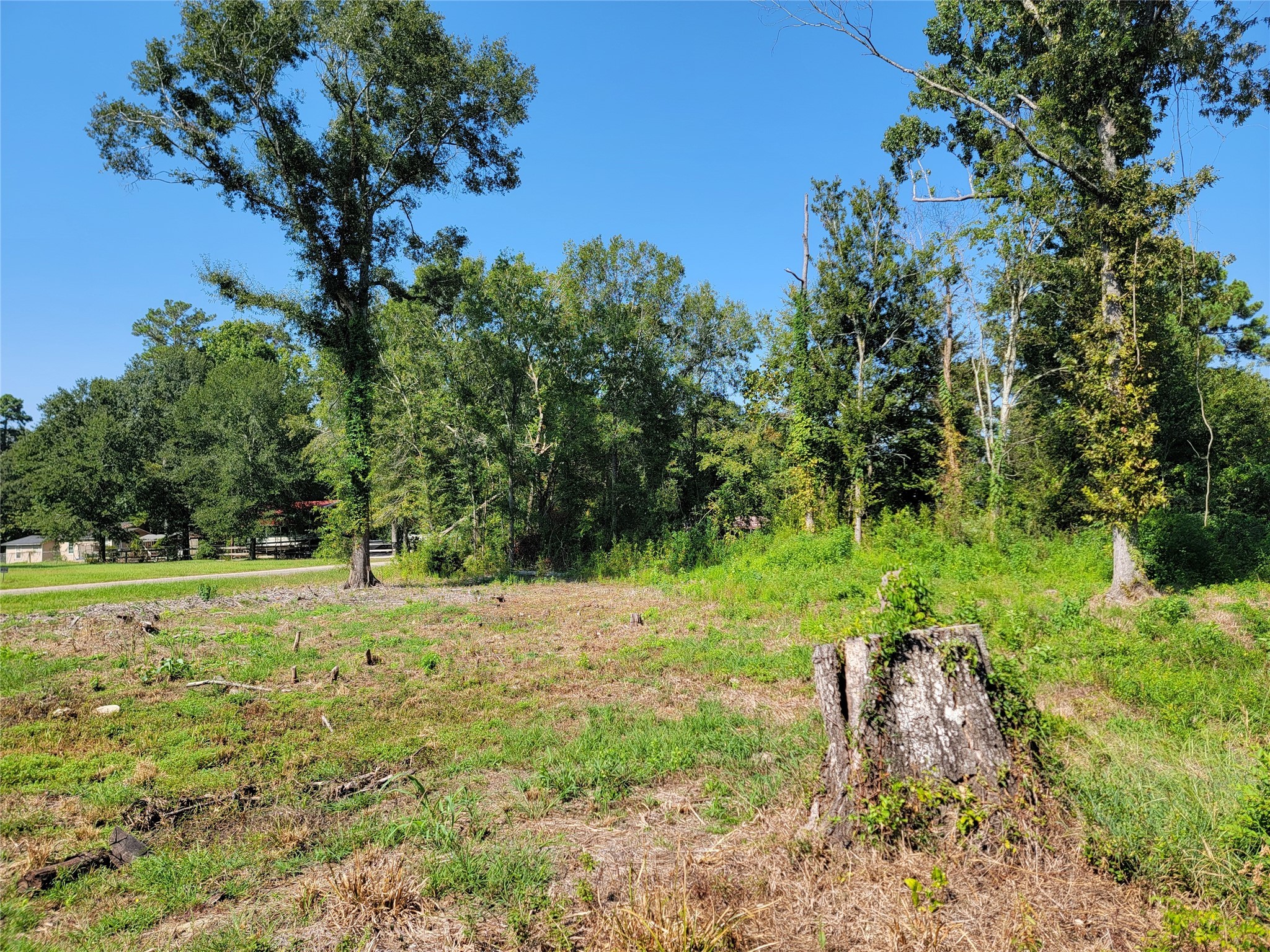 0 Springwater Drive Property Photo 11