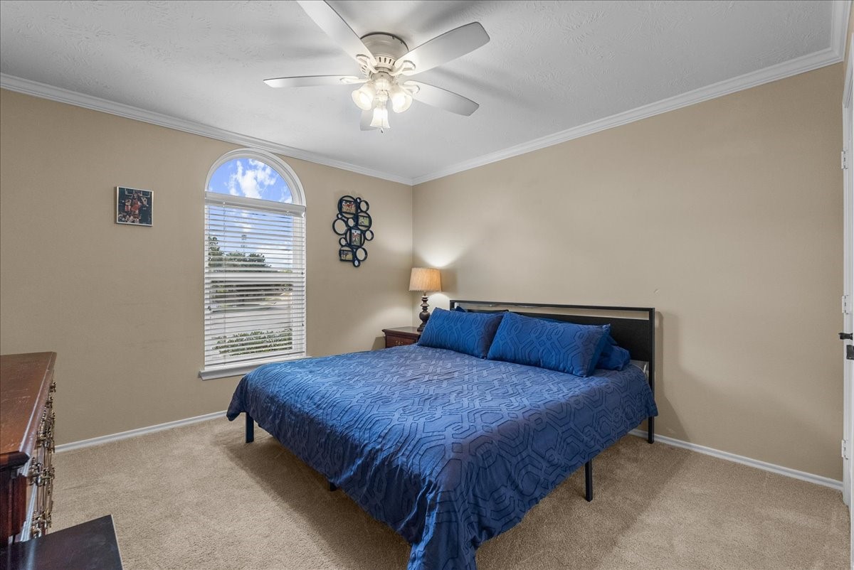 2618 George Street Property Photo 29