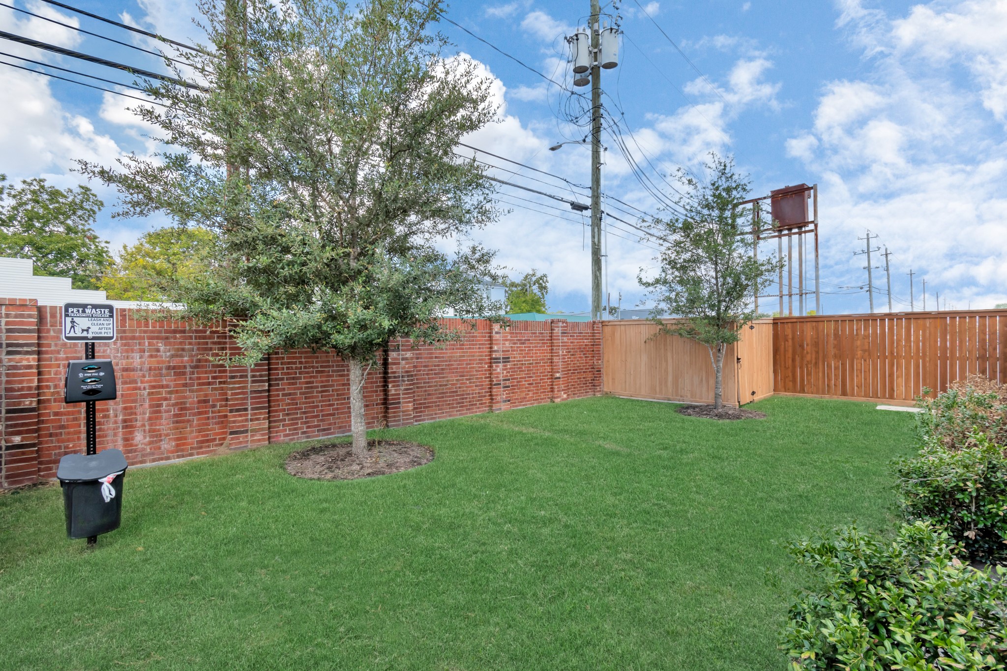 705 Strawberry Pines Court Property Photo 4