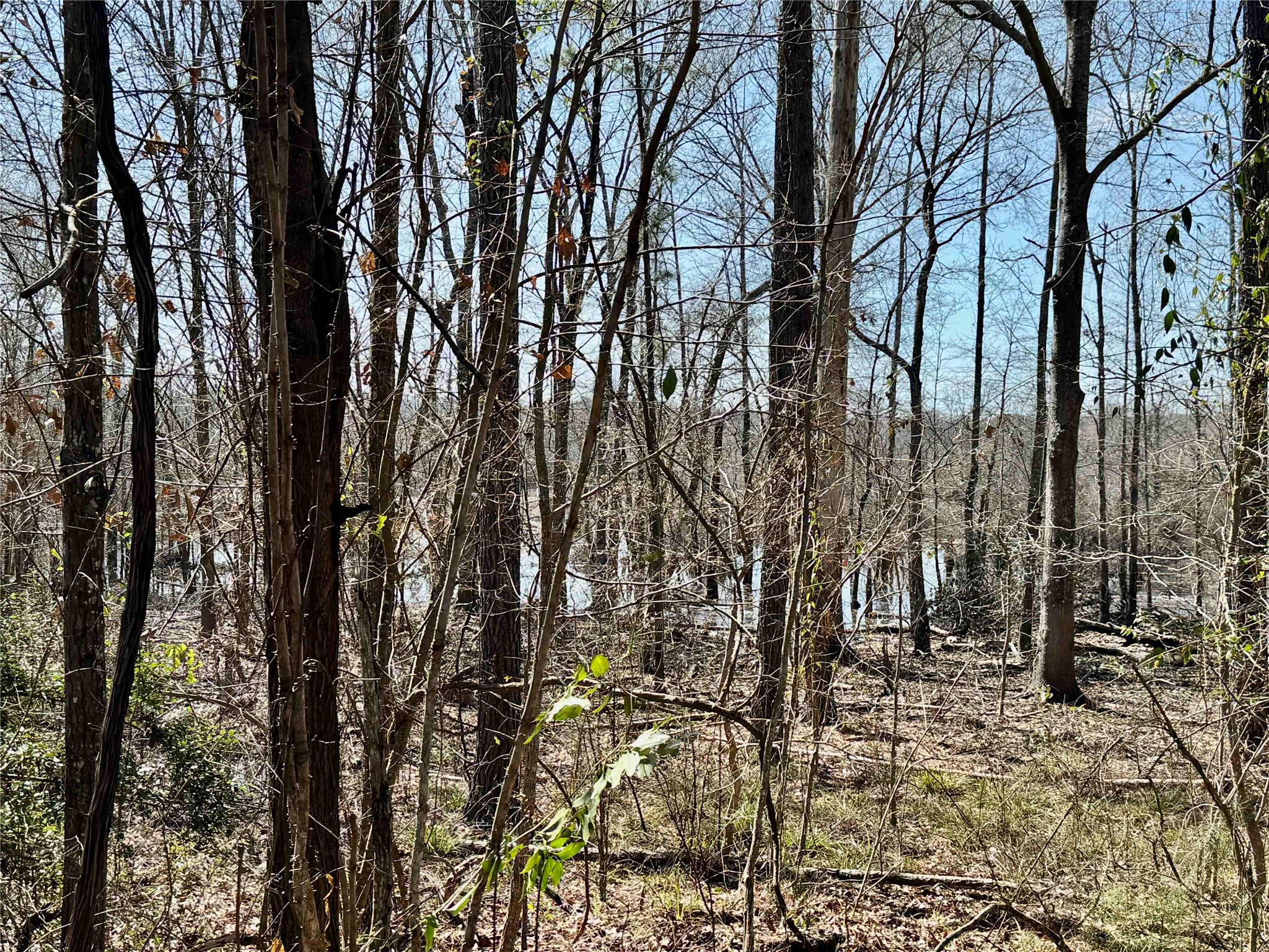 0103 Old Fm 705 Property Photo 23
