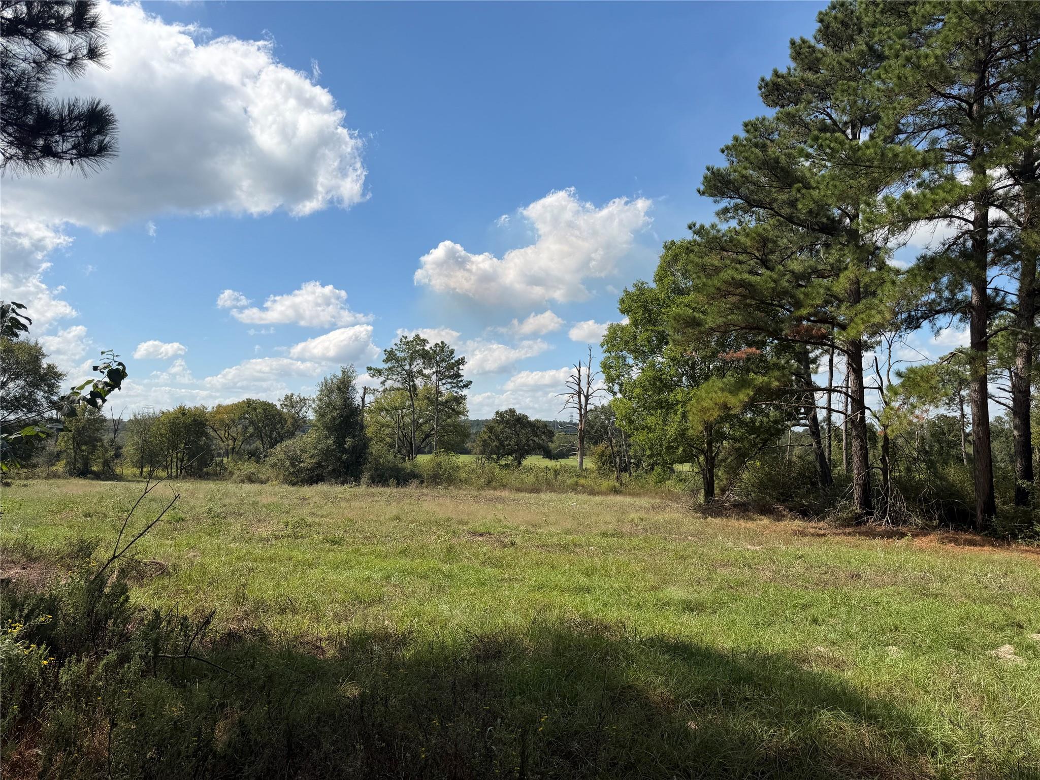 14234 Highway 90 N, Bedias Tx 77831 Property Photo 3
