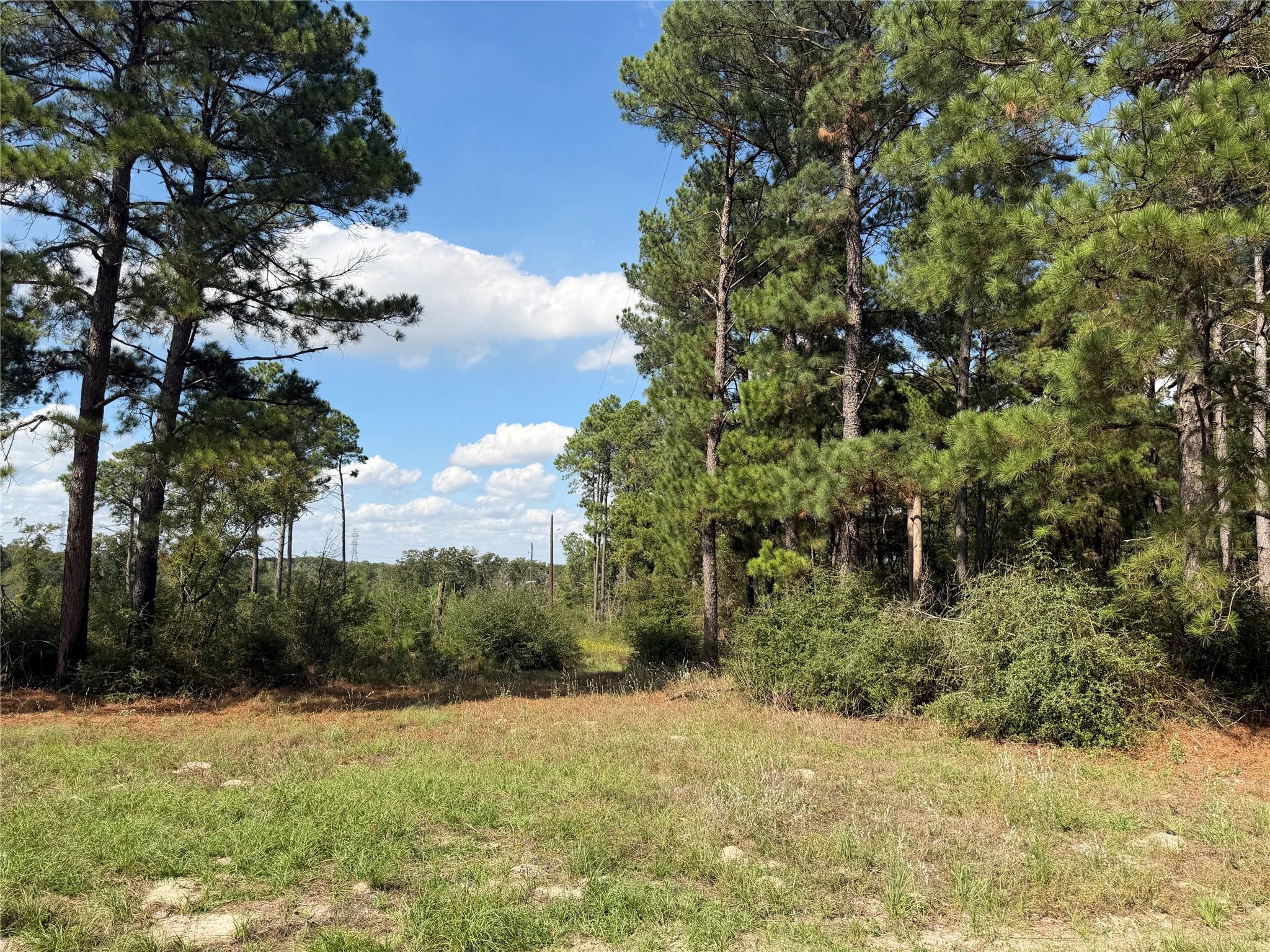 14234 Highway 90 N, Bedias Tx 77831 Property Photo 4