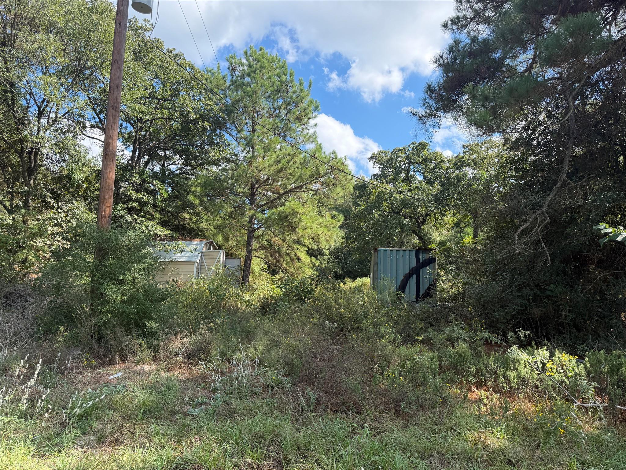 14234 Highway 90 N, Bedias Tx 77831 Property Photo 15