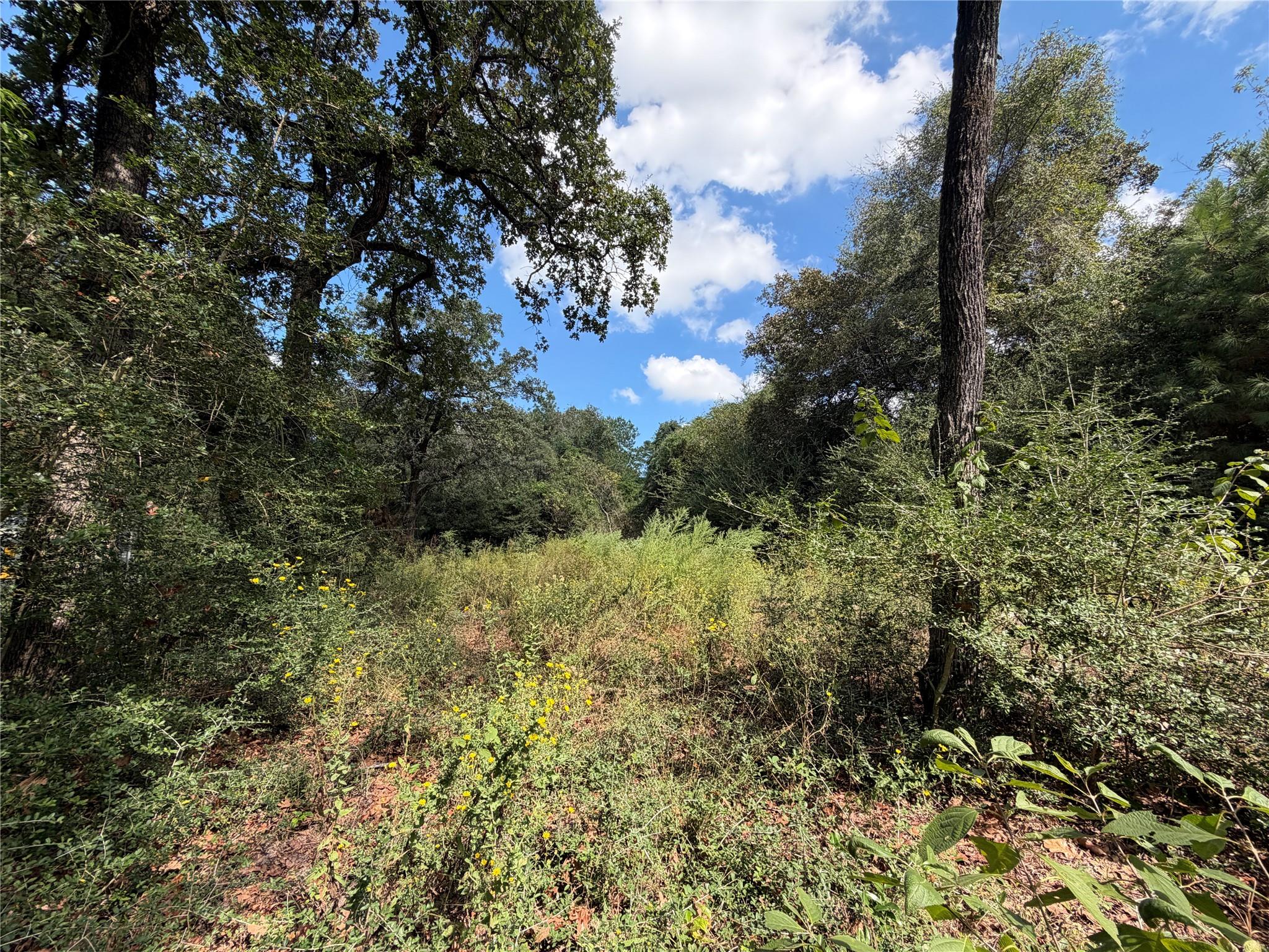14234 Highway 90 N, Bedias Tx 77831 Property Photo 22