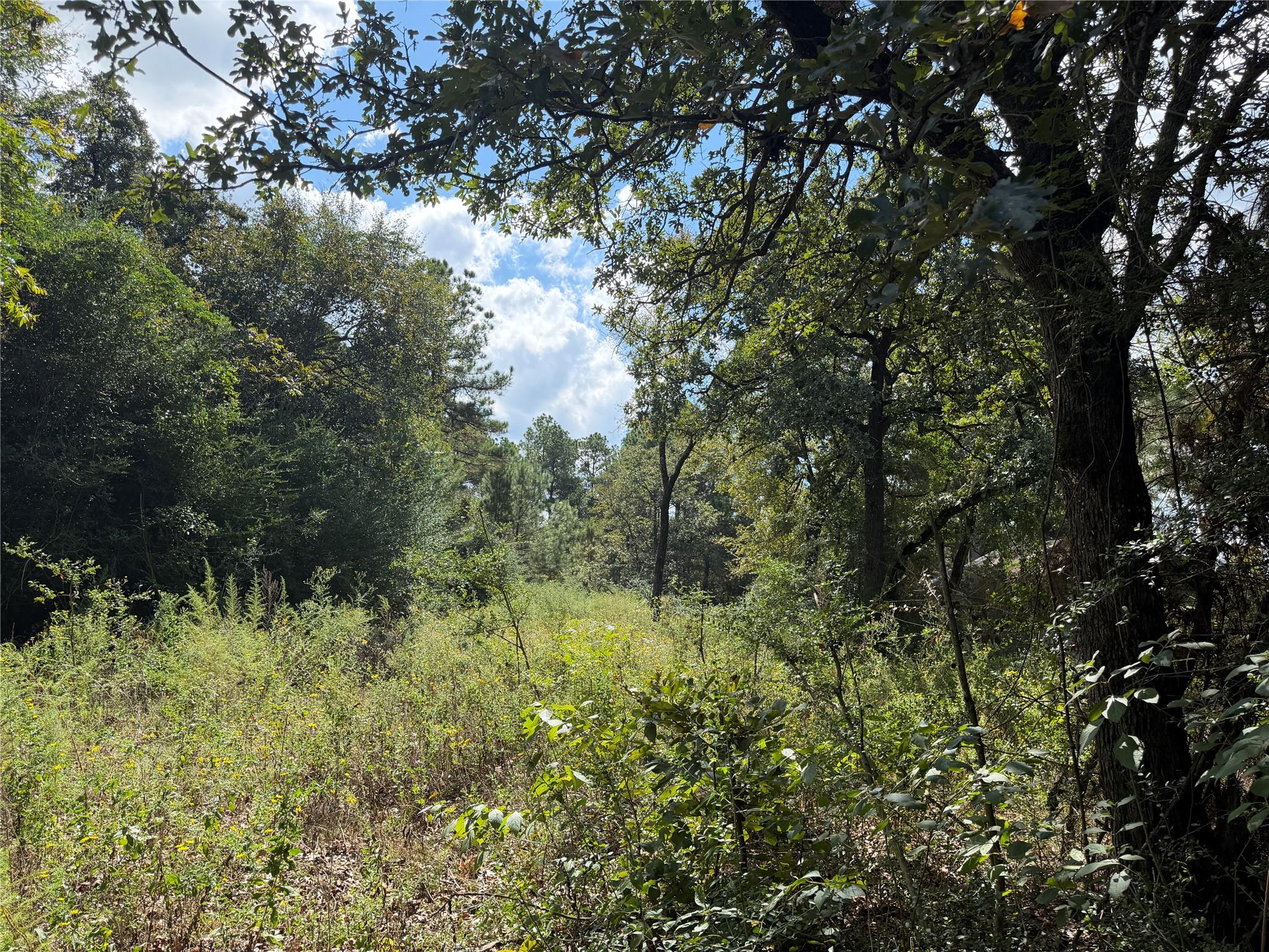 14234 Highway 90 N, Bedias Tx 77831 Property Photo 23