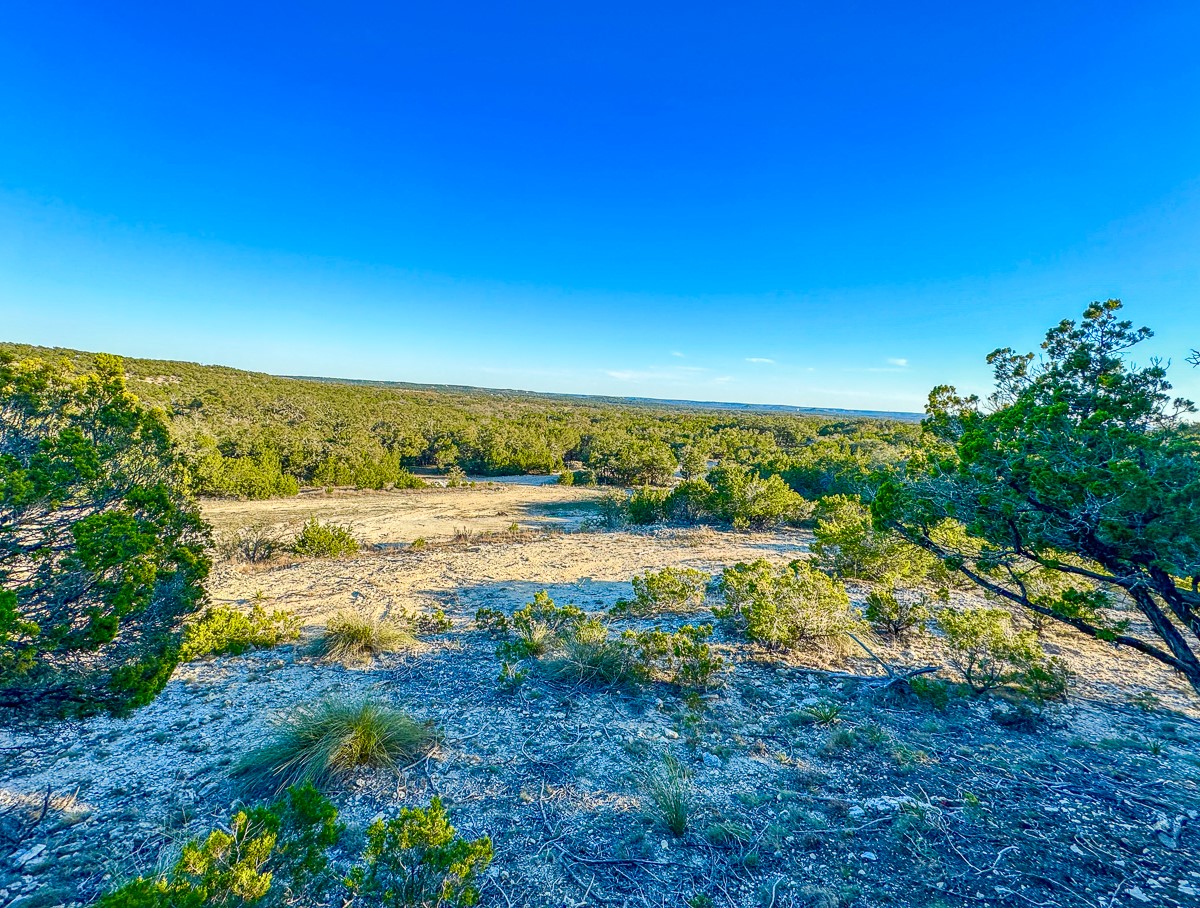 3600 Mount Sharp Road Property Photo 9