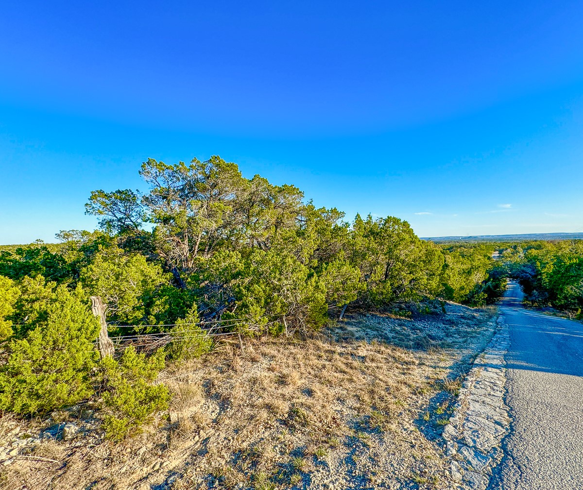 3600 Mount Sharp Road Property Photo 10