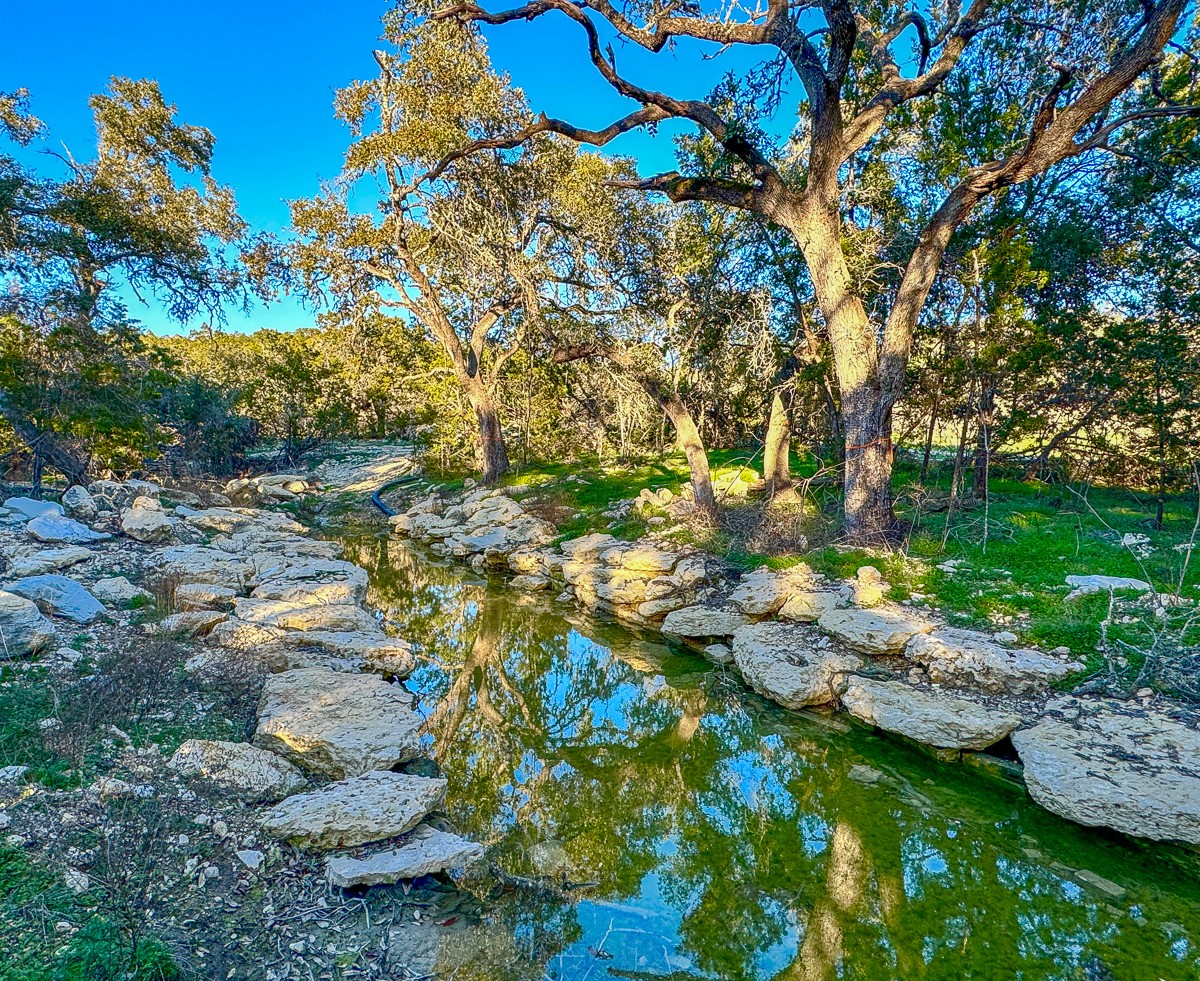 3600 Mount Sharp Road Property Photo 14