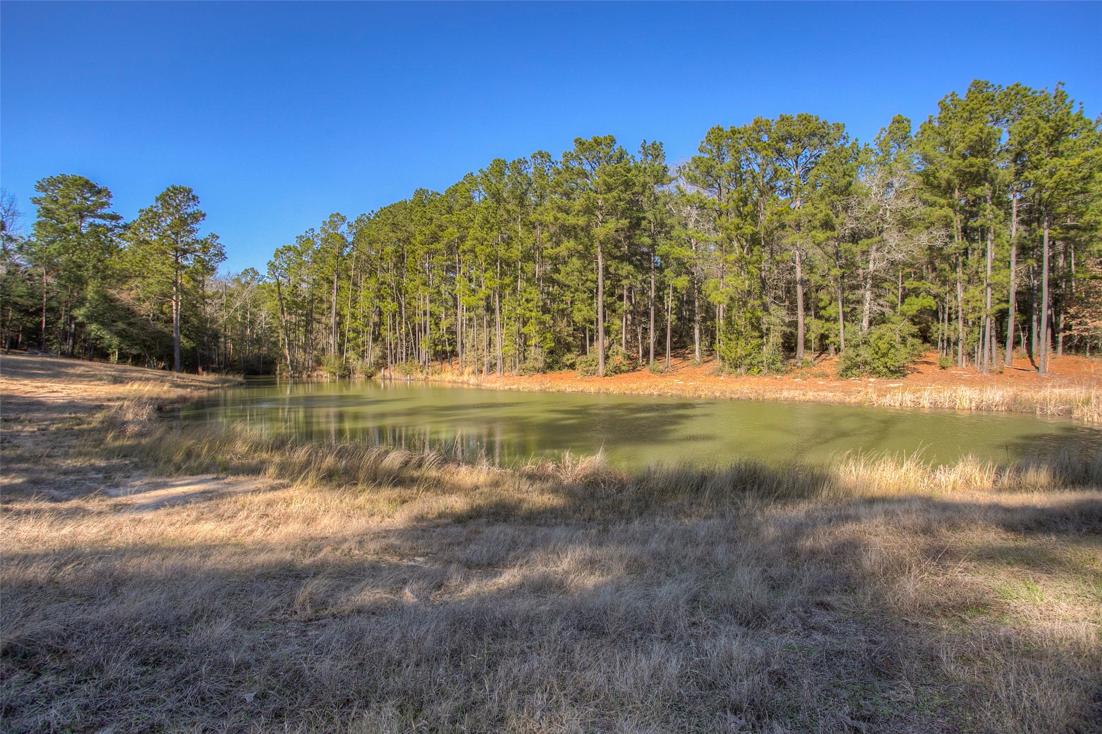 3055 County Road 274 Property Photo