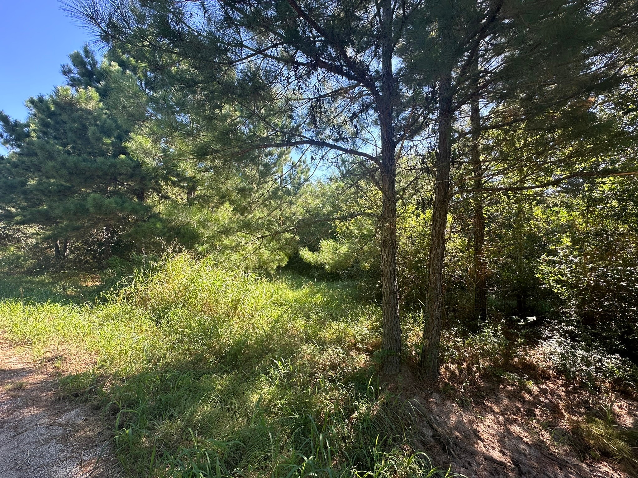0 Alum Creek Road Property Photo 3