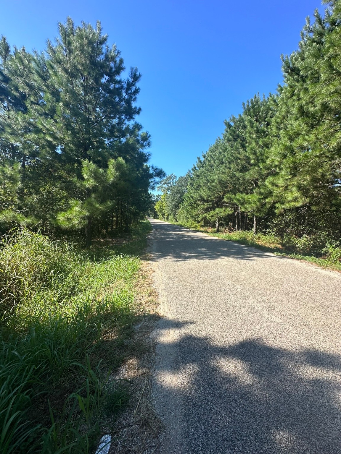 0 Alum Creek Road Property Photo 4