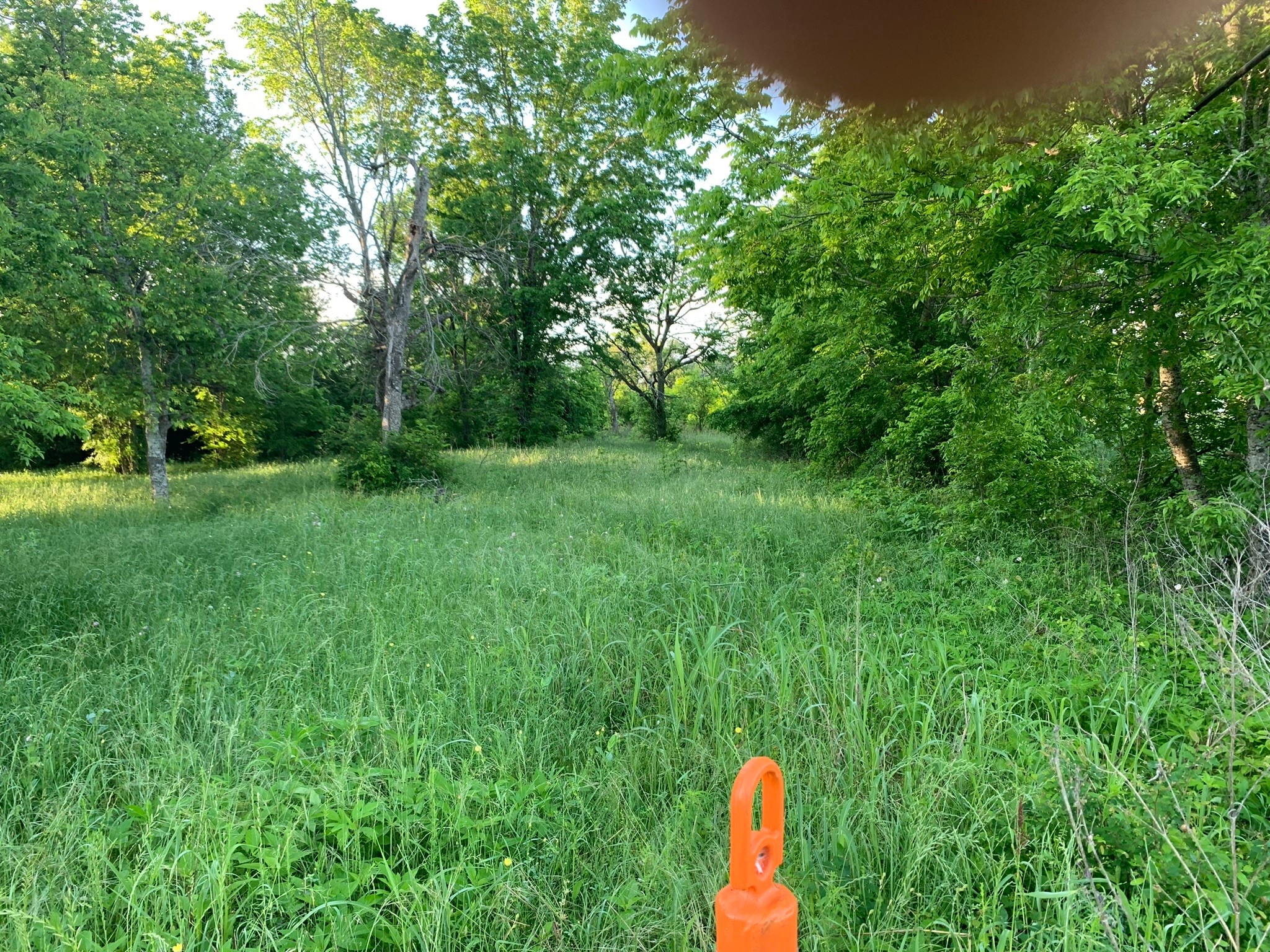 501 Fm 1227 Property Photo 2