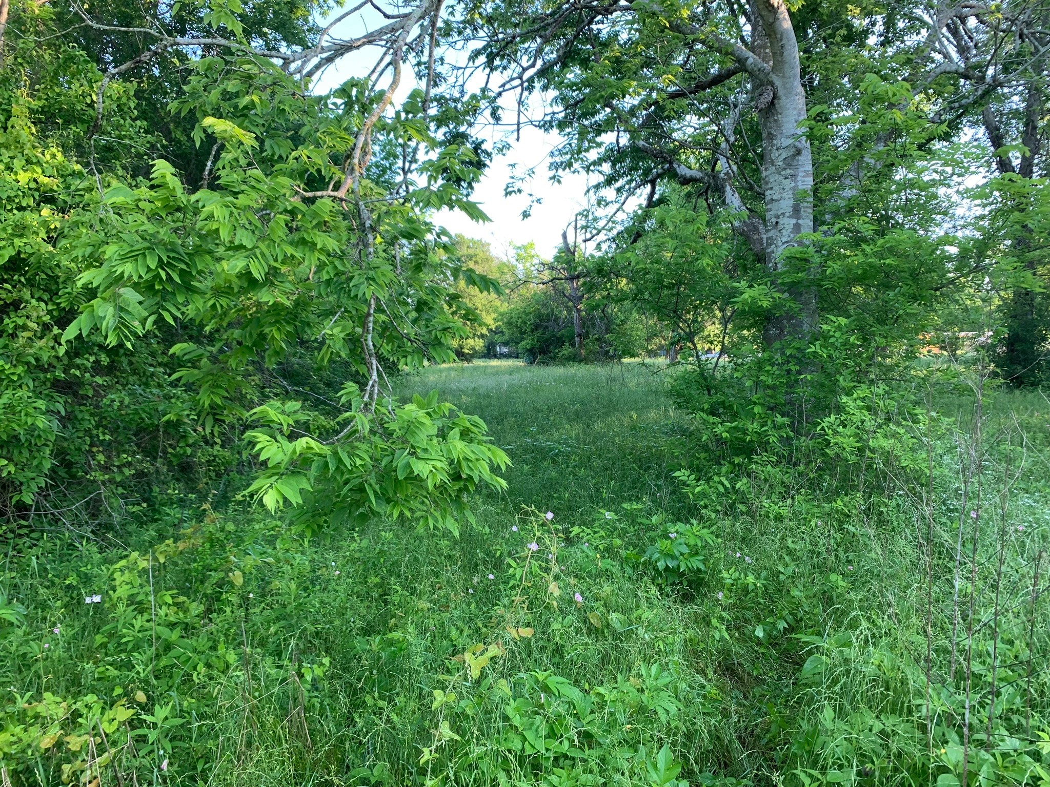 501 Fm 1227 Property Photo 4