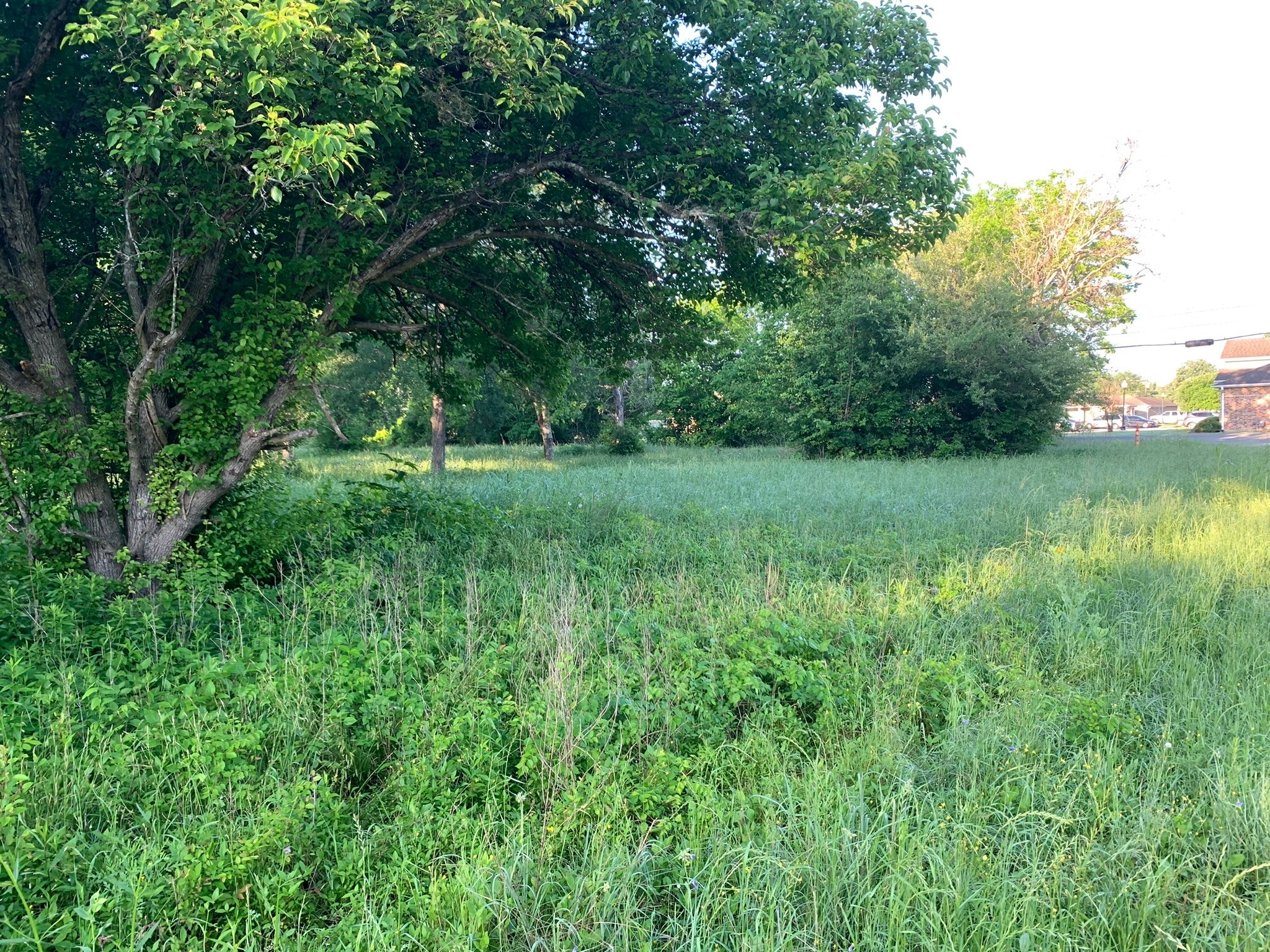 501 Fm 1227 Property Photo 5
