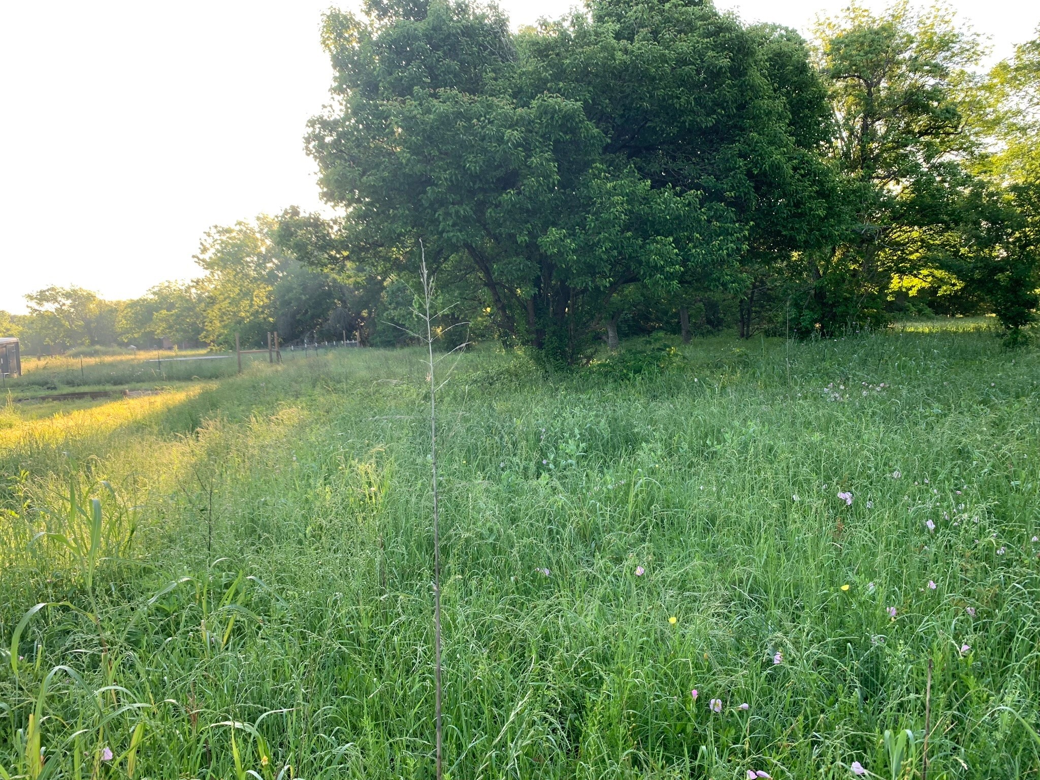 501 Fm 1227 Property Photo 8